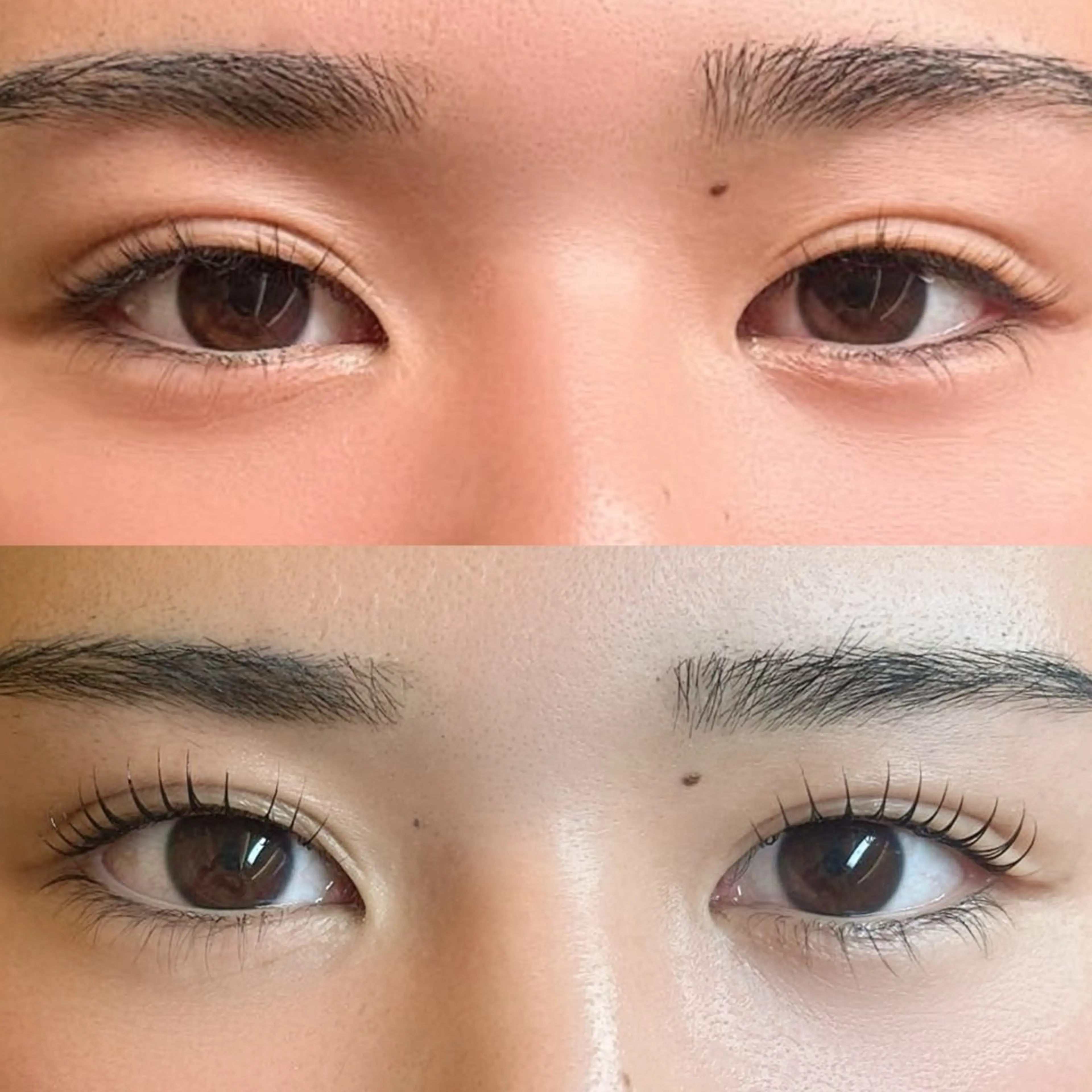 マツエク・マツパ HOLOGRAM EYELASHのマツエク・マツパデザイン