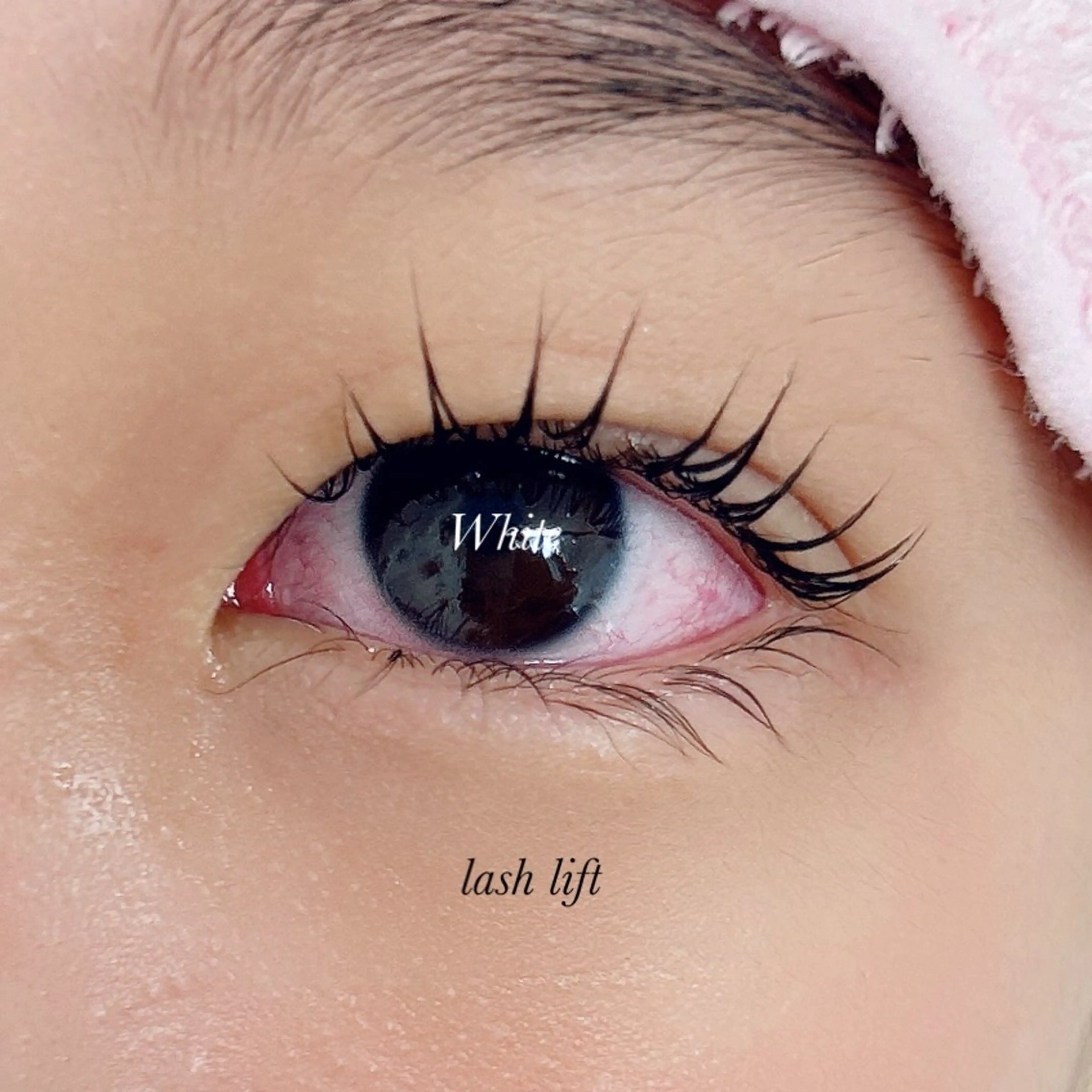 マツエク・マツパ White/マツエク /まつパ/耳つぼのマツエク・マツパデザイン