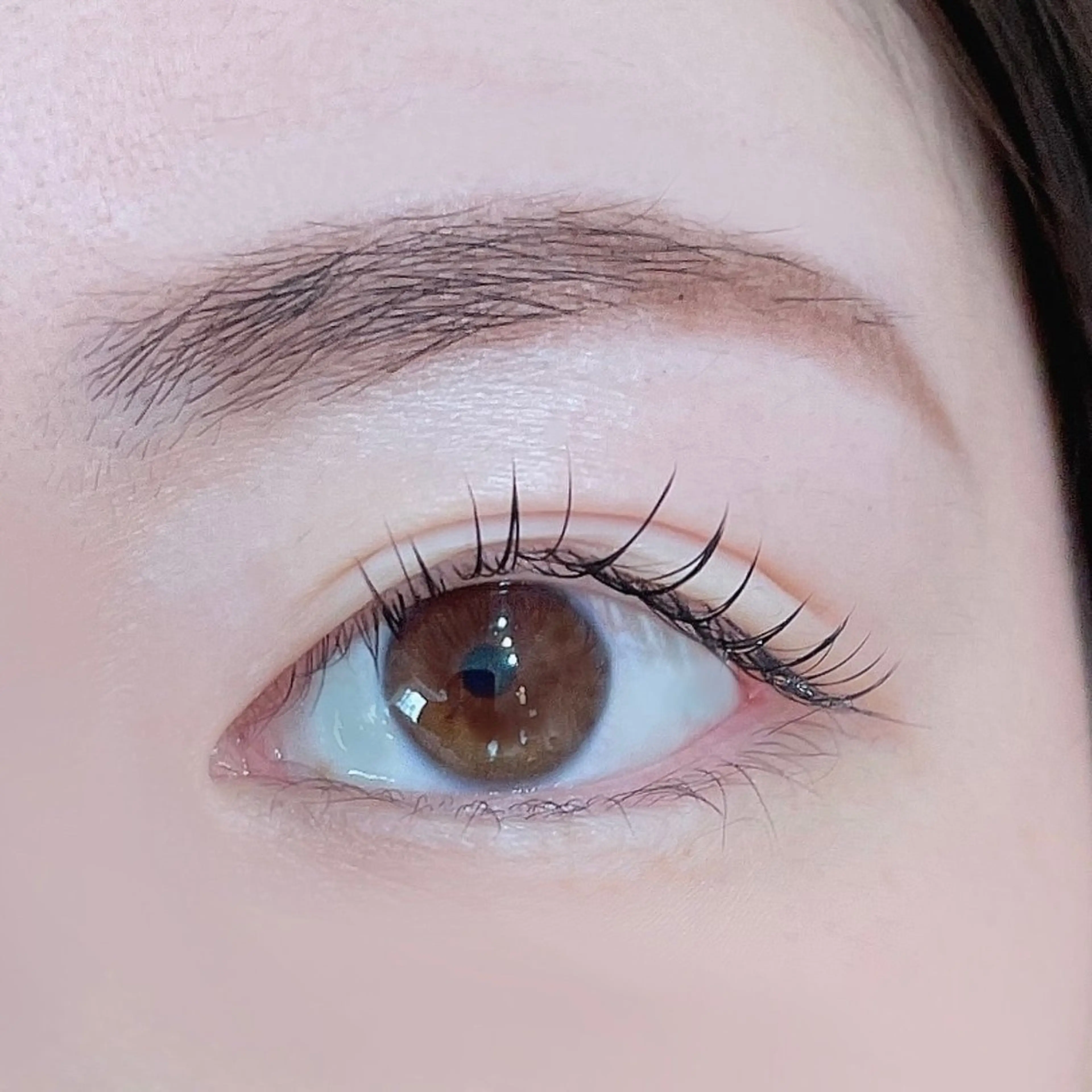 プレミアセーブル日本製　120本の写真