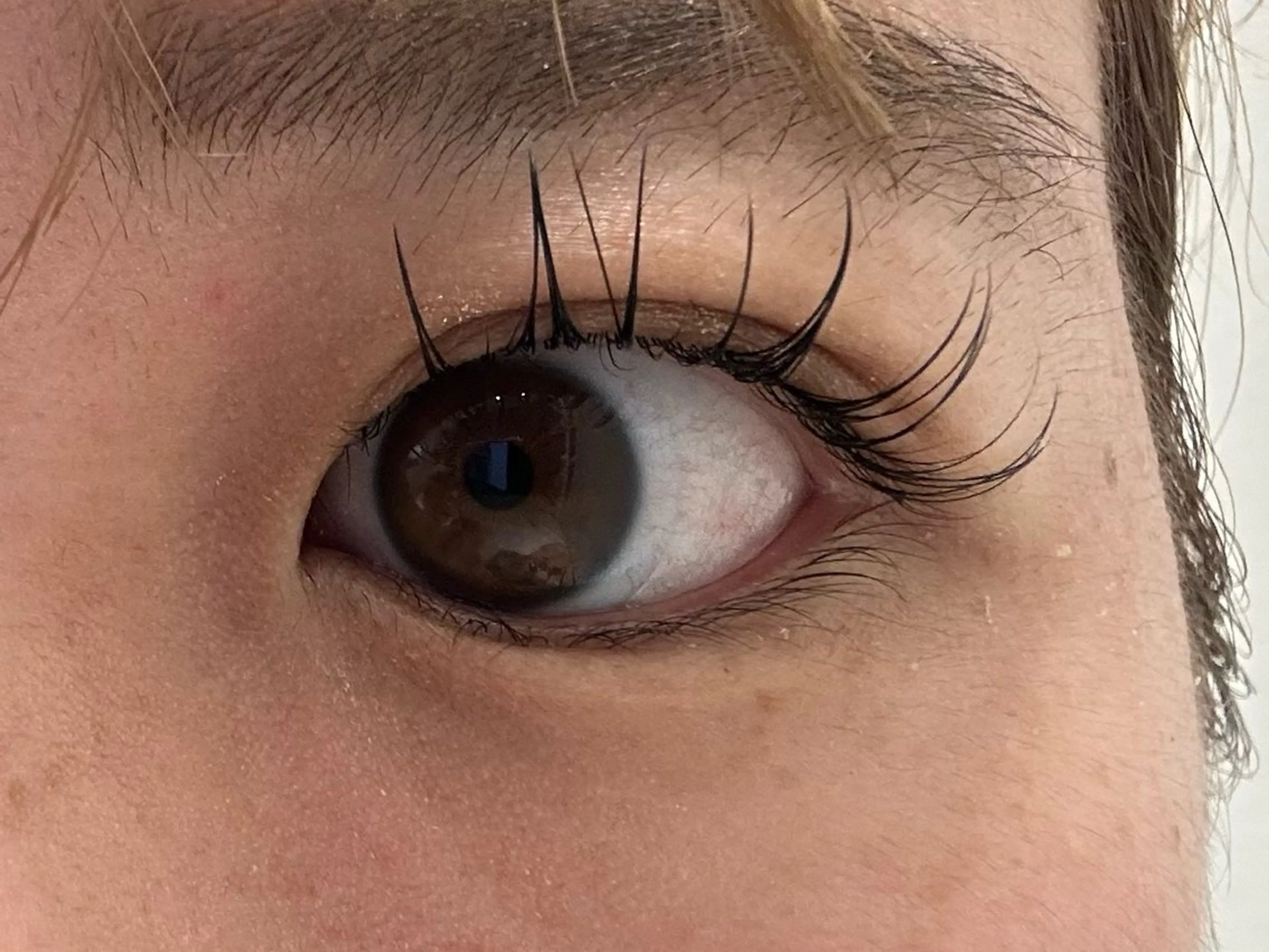 ＆Healthy エクステ100本+まつげパーマの写真