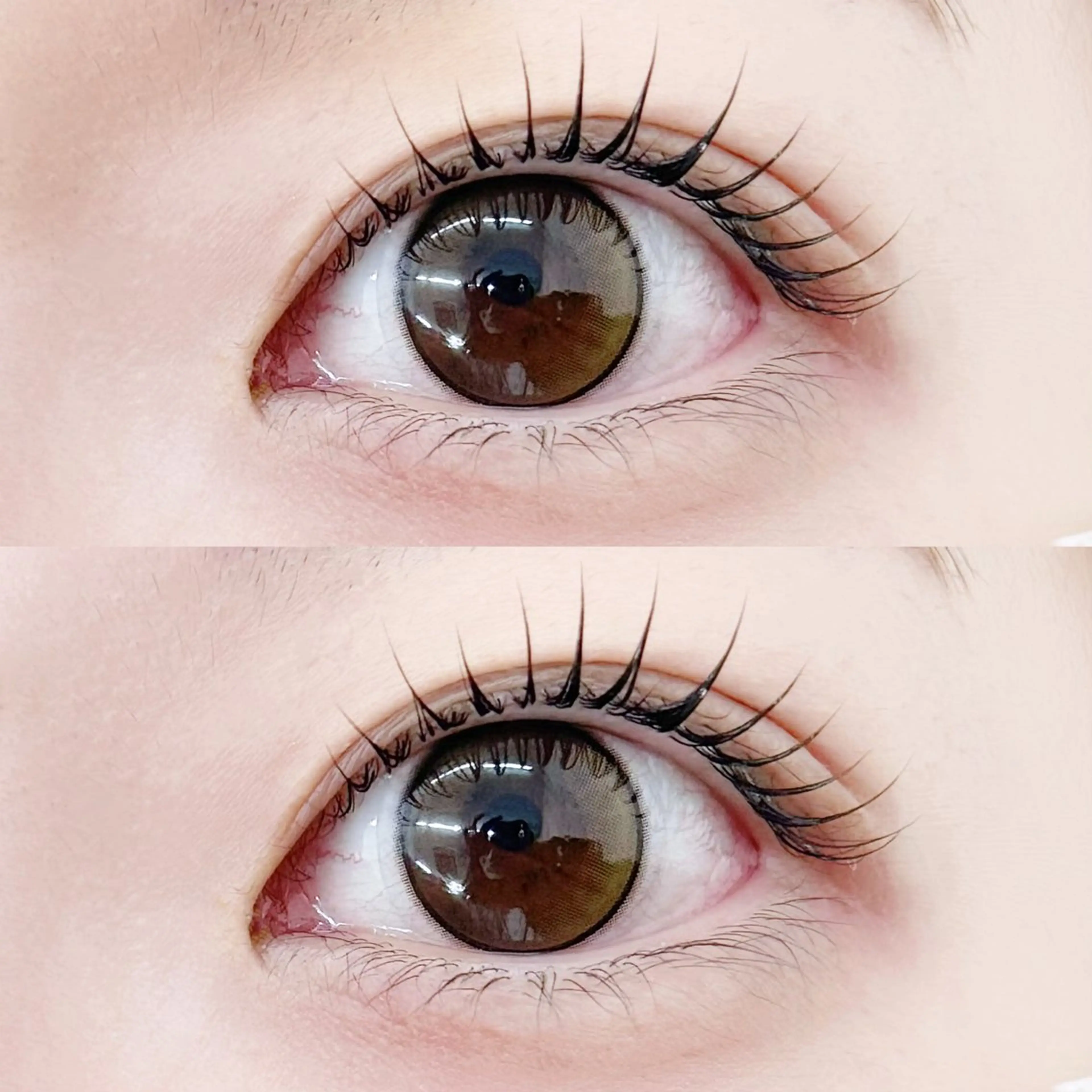 ご新規様限定🧸♡似合わせまつ毛パーマ　すぐ予約⭕️の写真