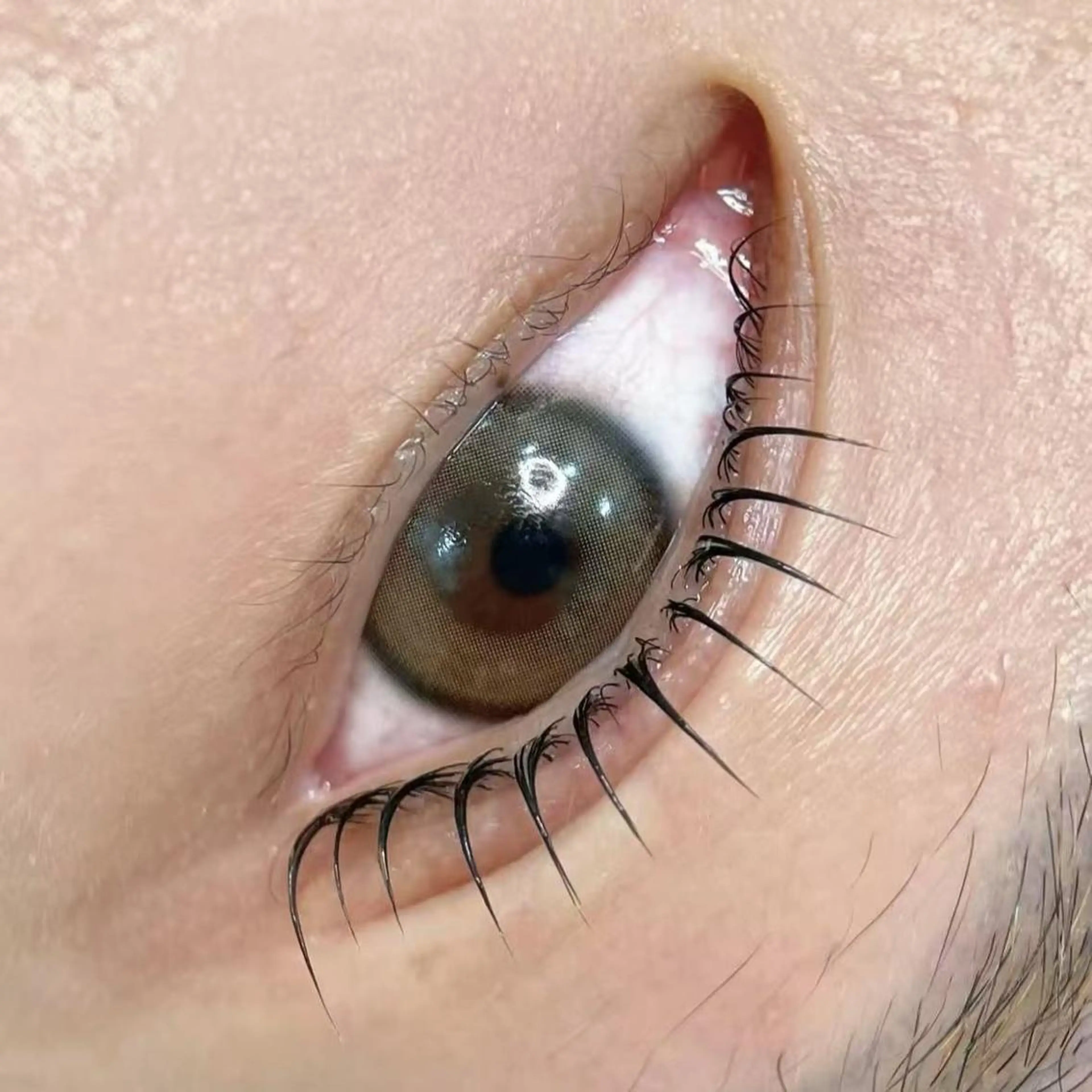 パーマ マツパ H eraのマツエク・マツパデザイン