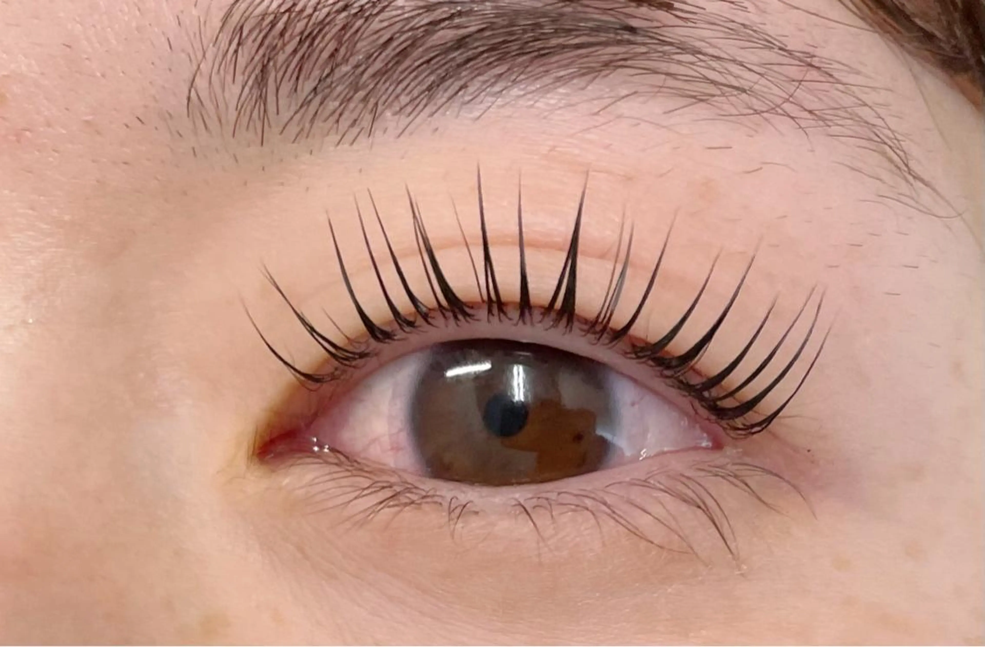 マツエク・マツパ Rich to所属・Rich to🤍 furutaのマツエク・マツパデザイン