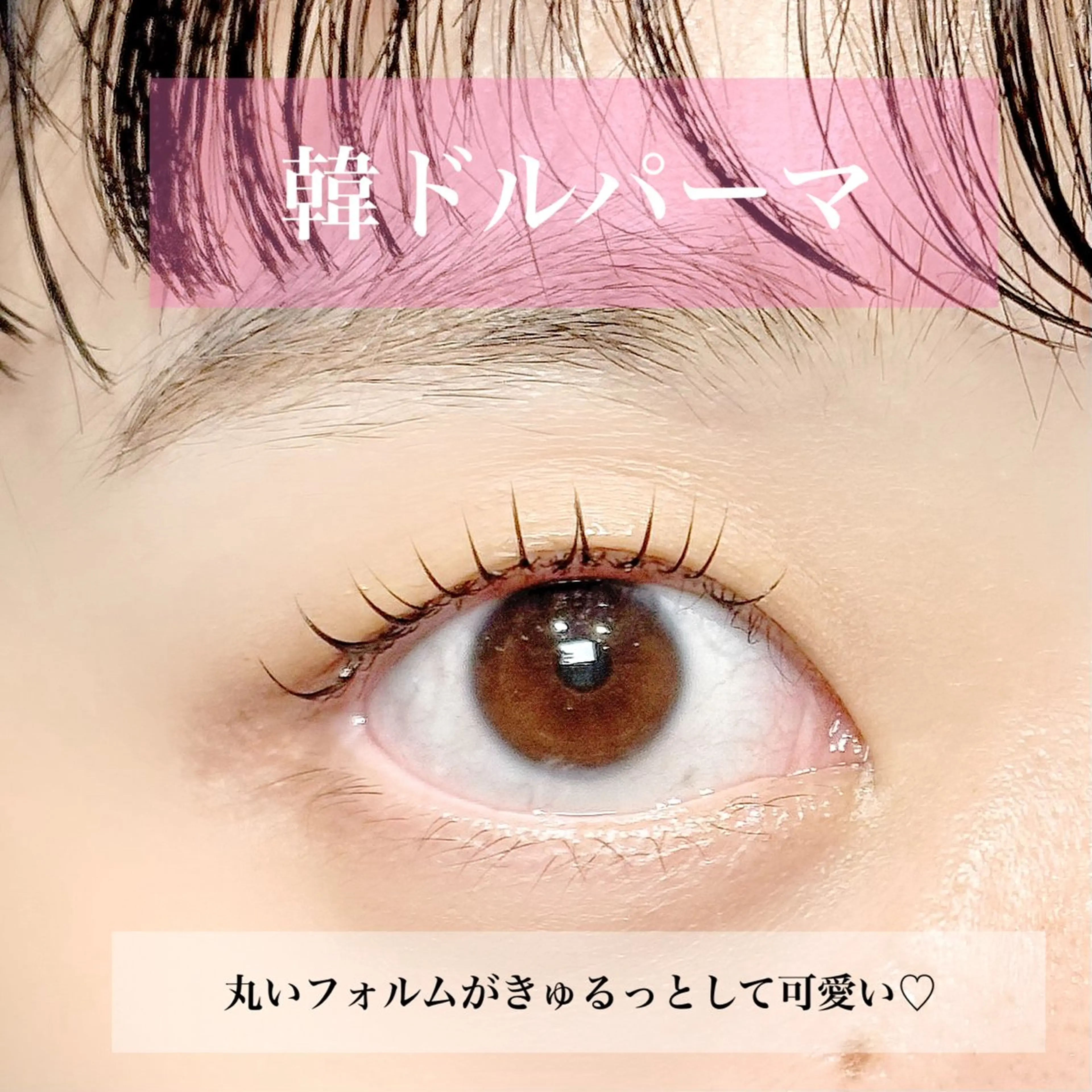 マツエク・マツパ フラットラッシュ 韓国風マツエク ナチュラル パリジェンヌラッシュリフト まつげパーマ マツパ 束感パリジェンヌ上下 恵比寿ayakaのマツエク・マツパデザイン