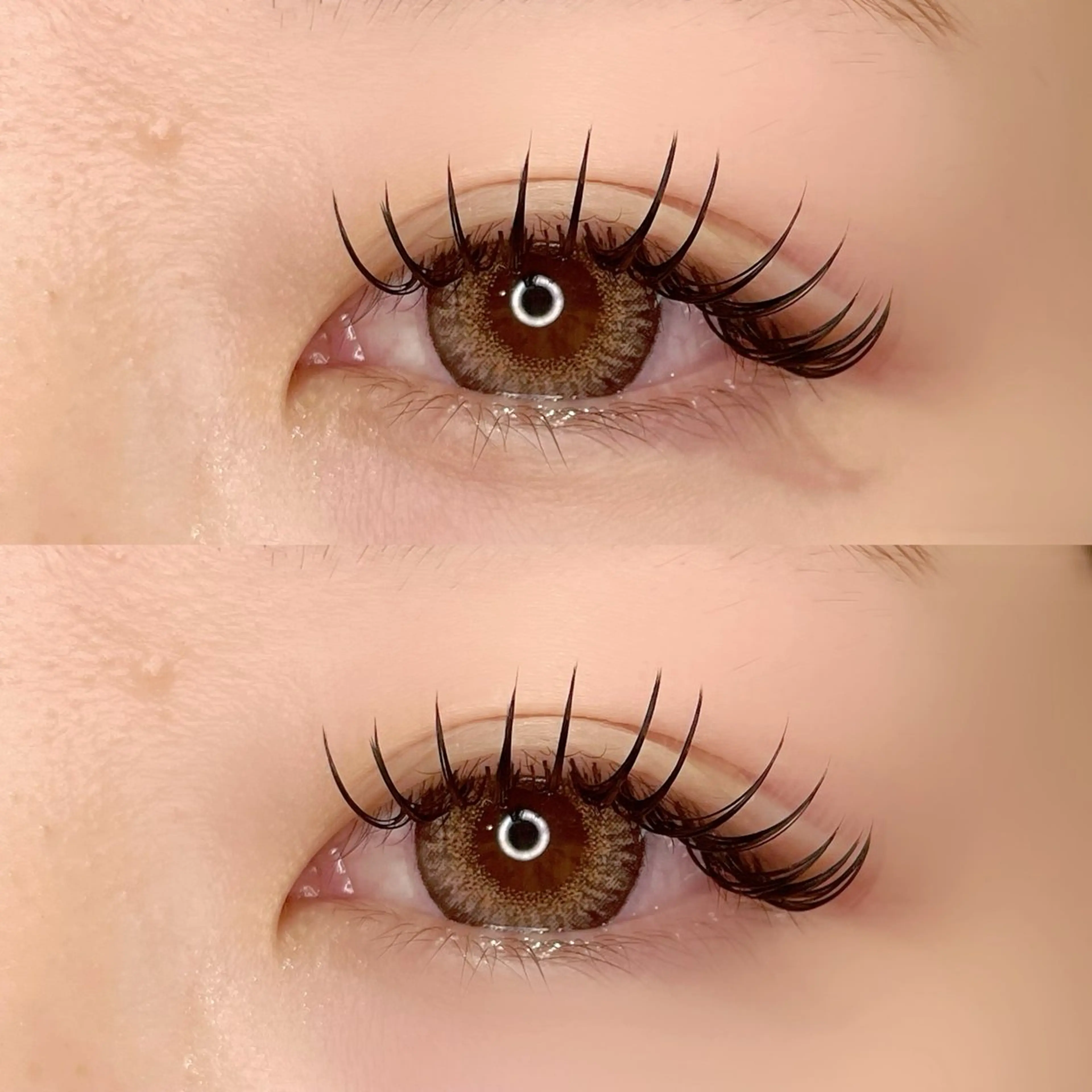 モチ抜群🍒〖バインドロック 100束〗🍒シングル140本程度(再来+550円)の写真