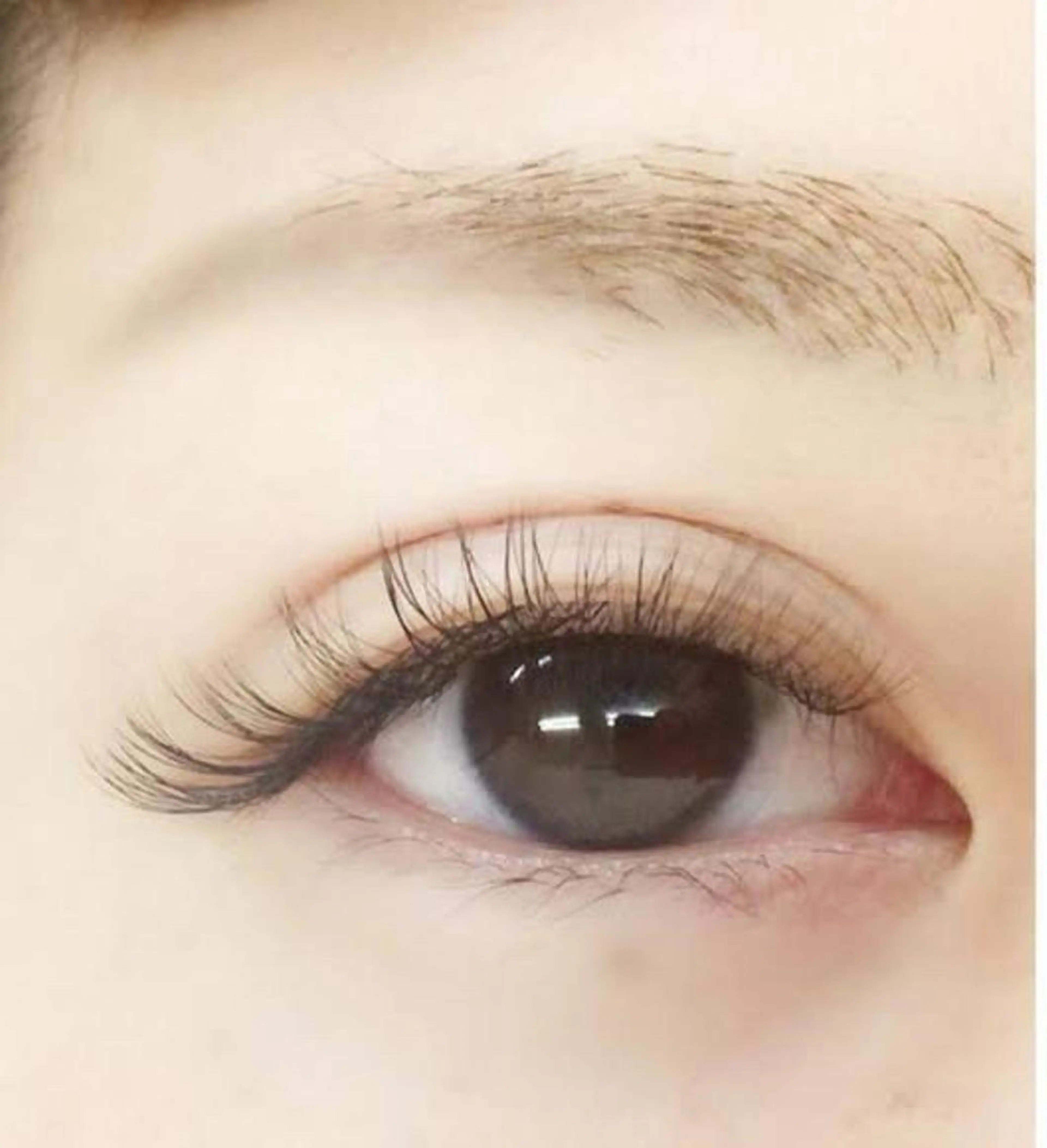 マツエク・マツパ eye  salon chikuのマツエク・マツパデザイン