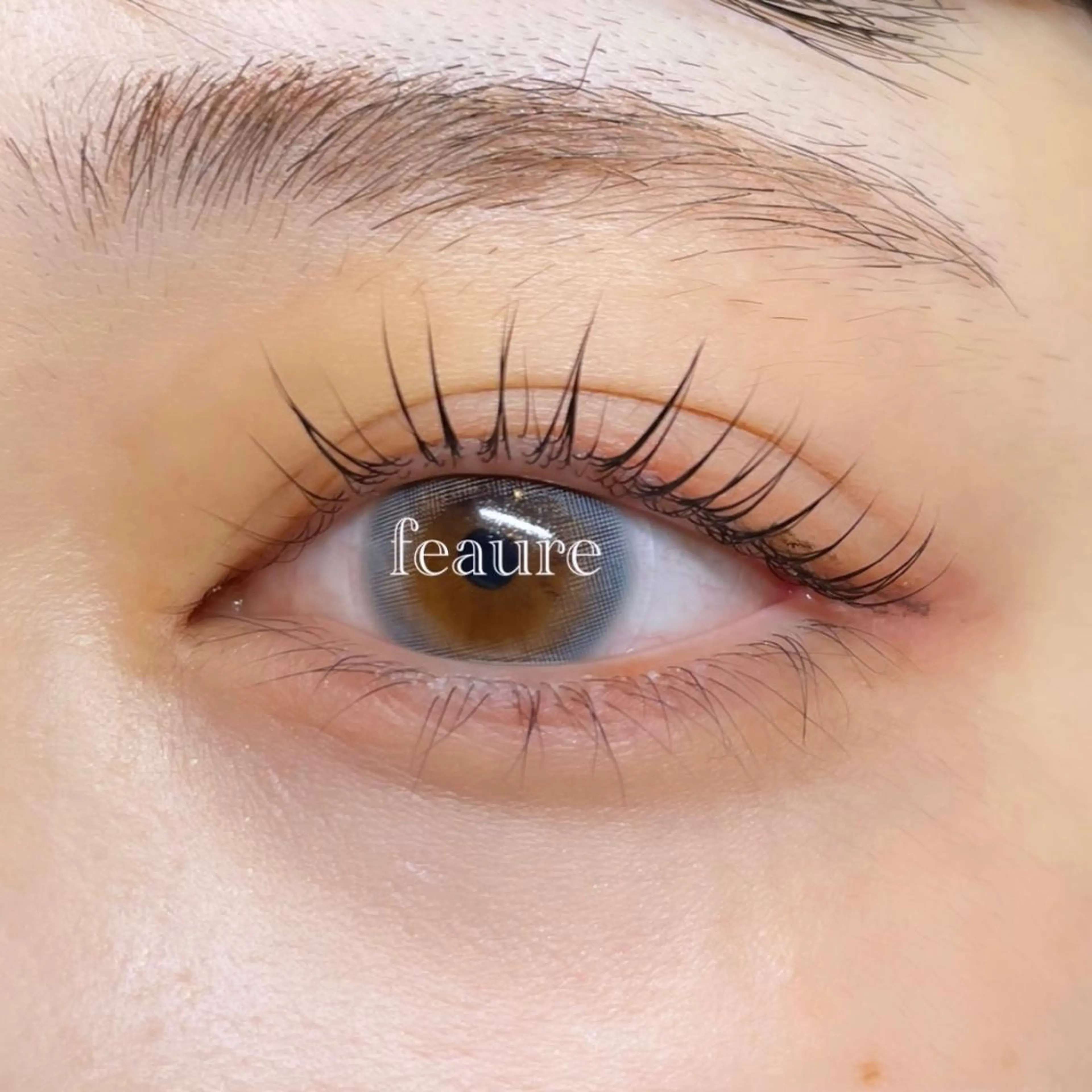 両目合わせて120本の写真