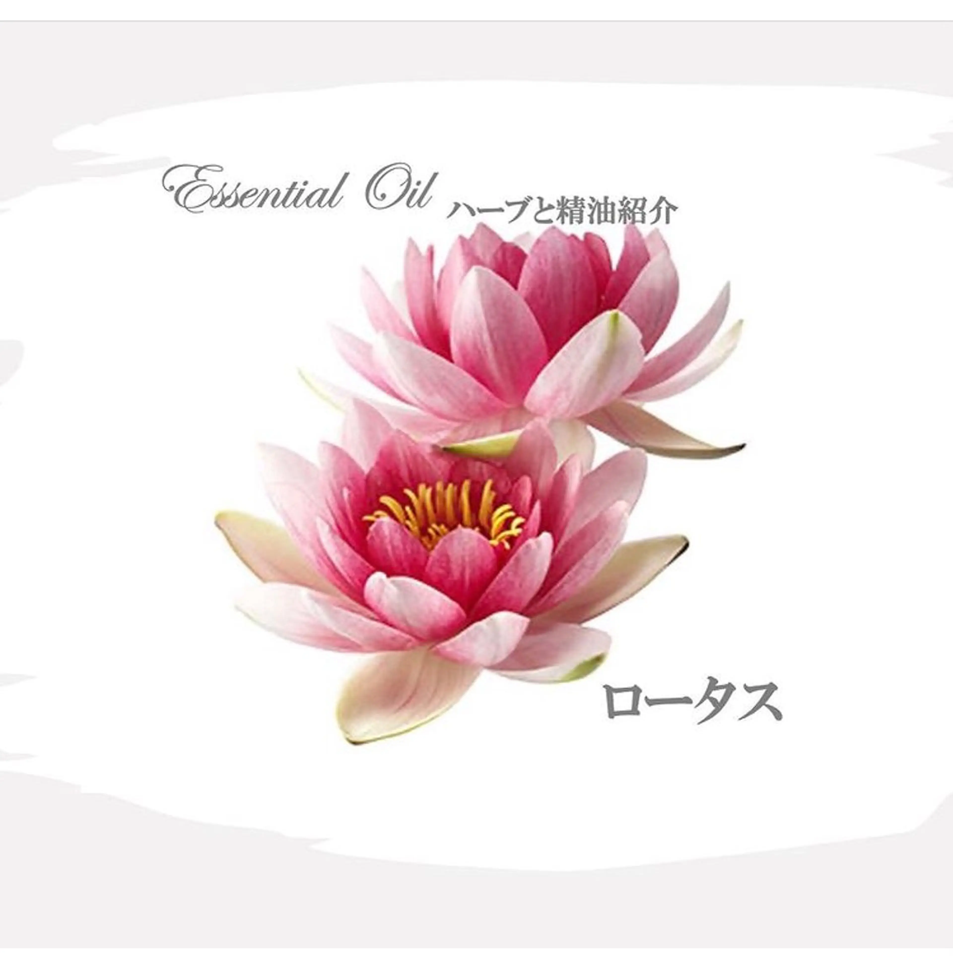 香りの家ローズマリー 🌿アロマリンパのエステ・リラクイメージ