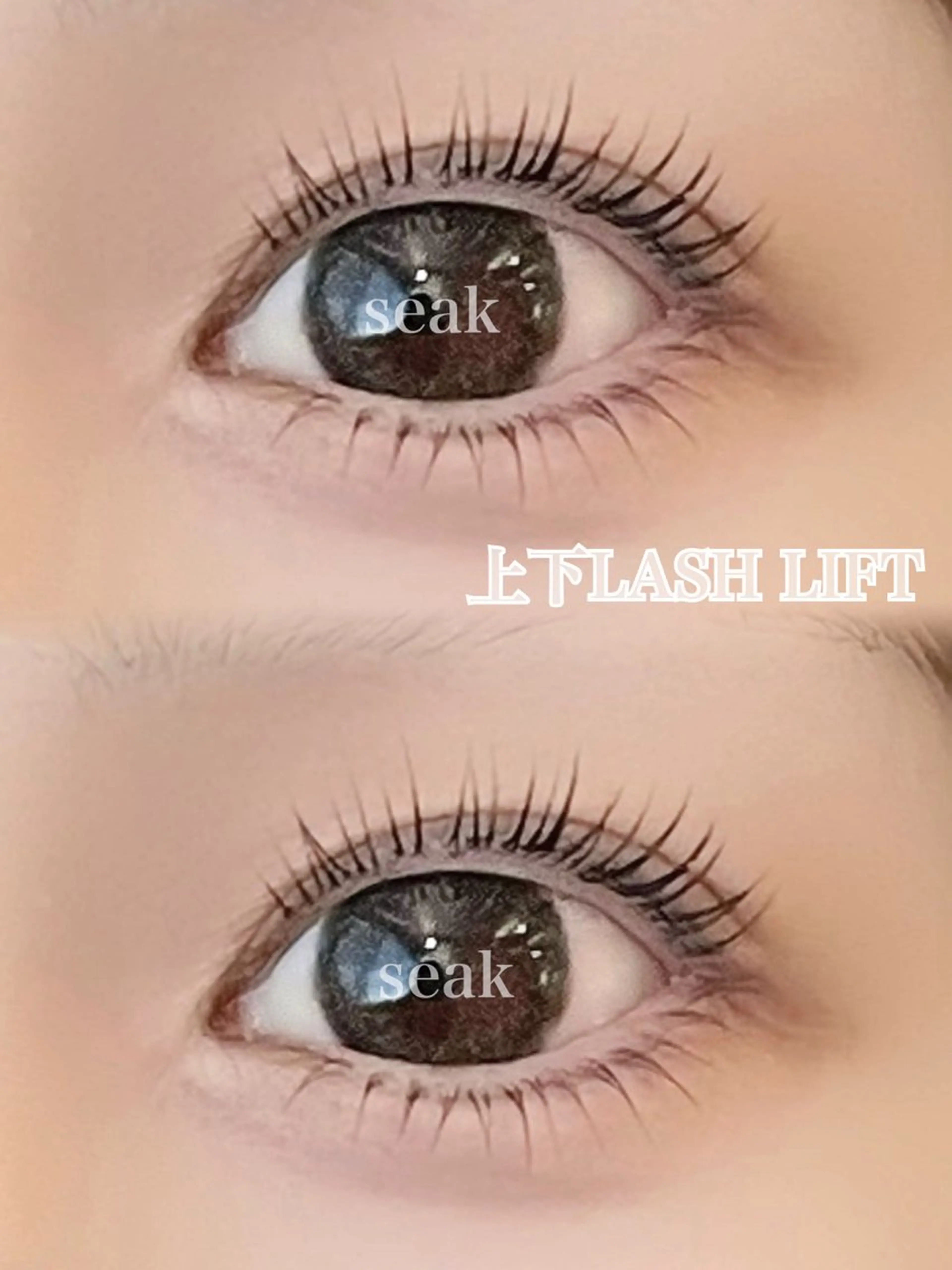 トリートメント付きパーソナル上下ラッシュリフト¥8800の写真