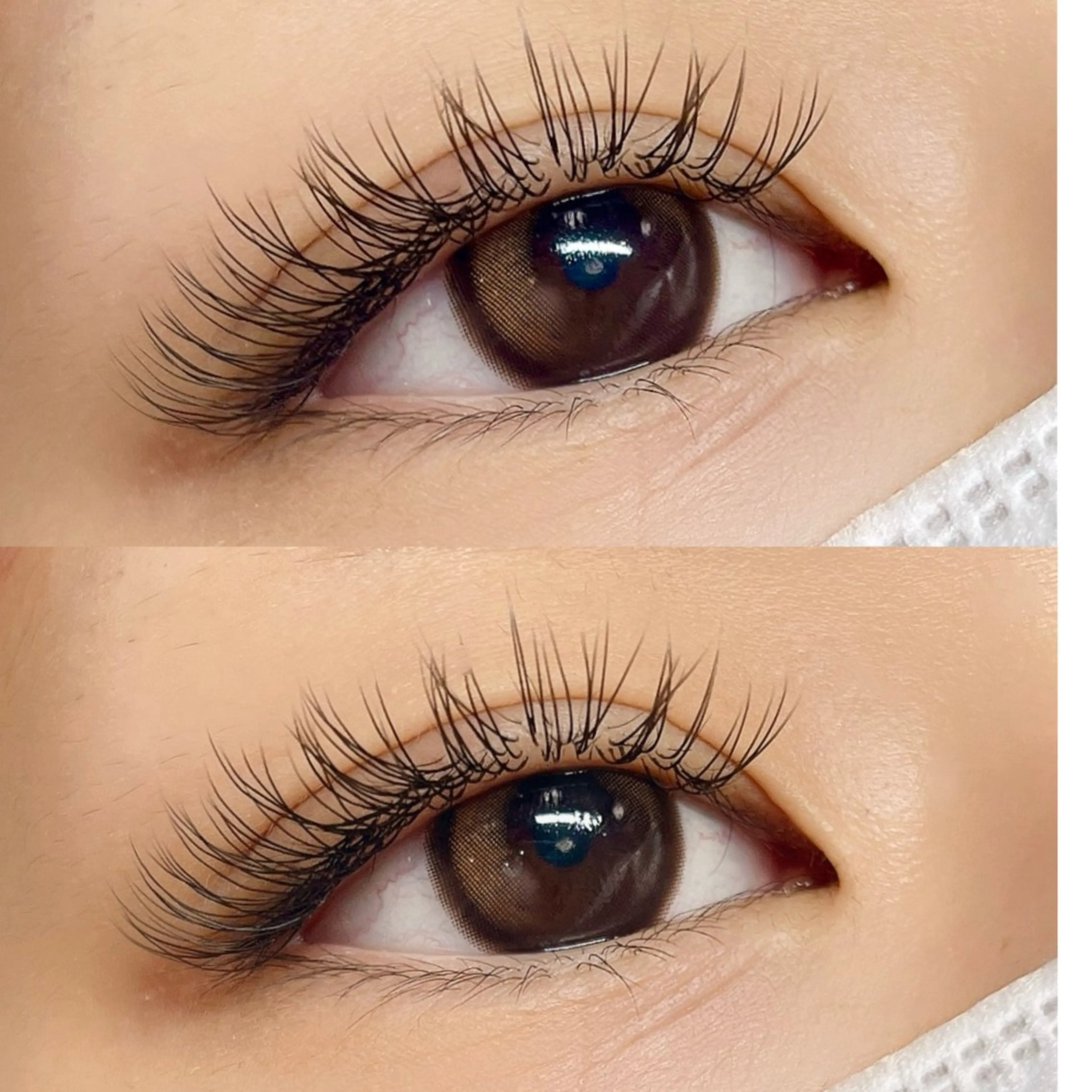 🌻フラットラッシュ🌻140本の写真