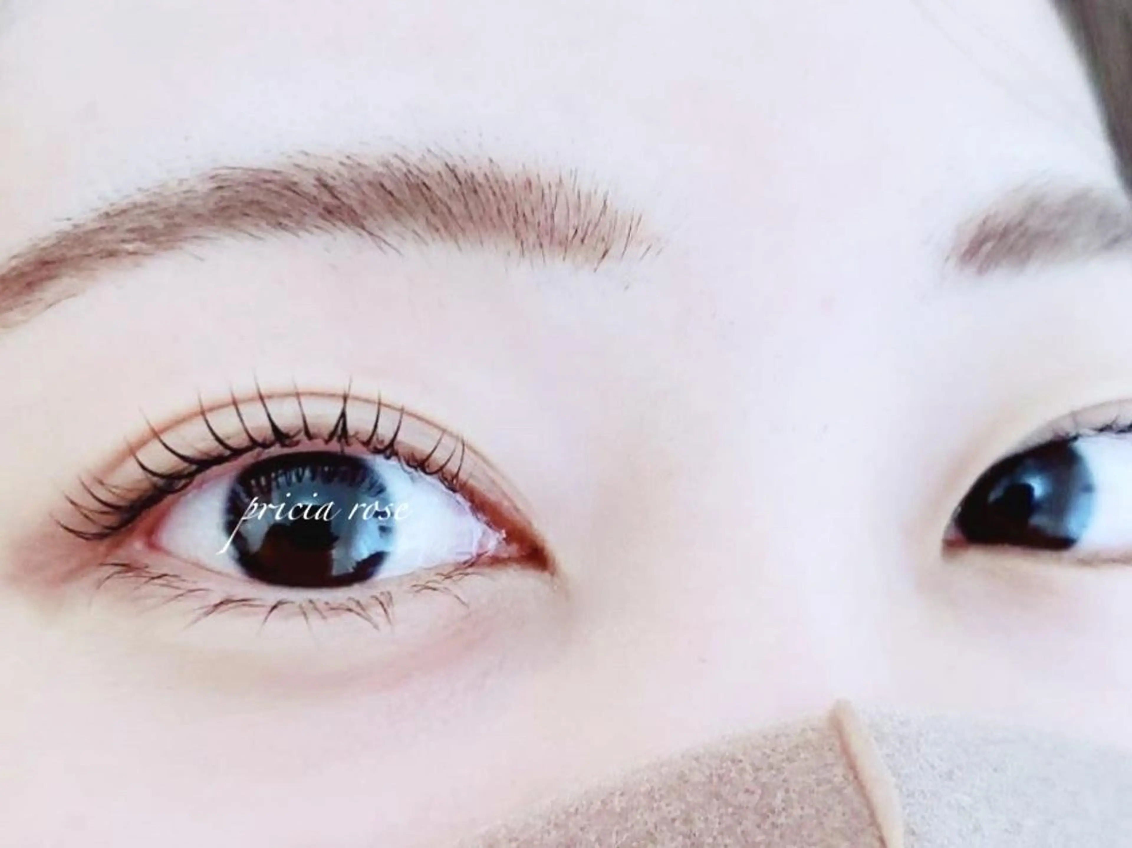 【アイシャンプー、コート付き】ナチュラルまつ毛パーマの写真