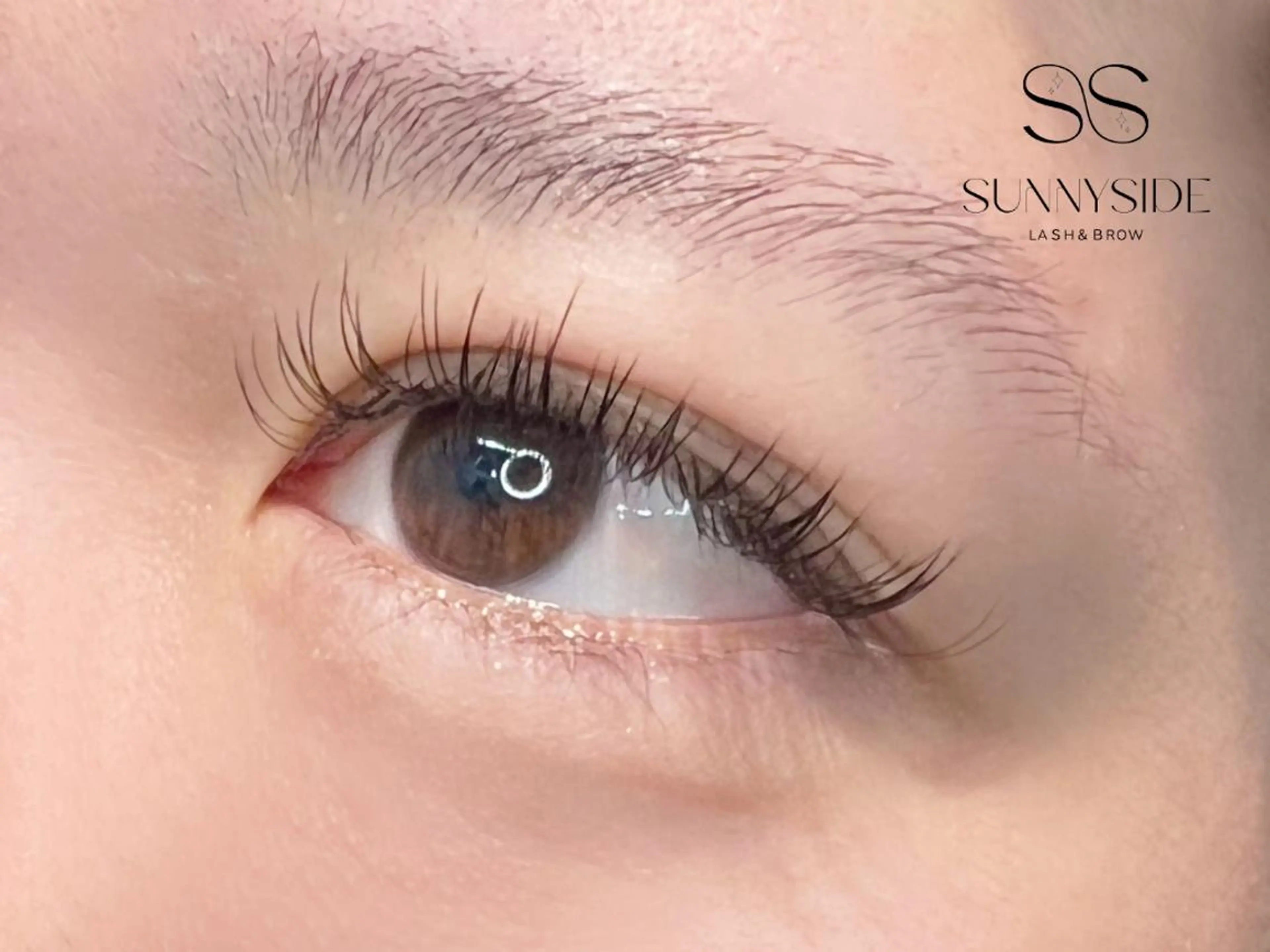 マツエク・マツパ Dカール フラットラッシュ SUNNYSIDE LASH&BROWのマツエク・マツパデザイン