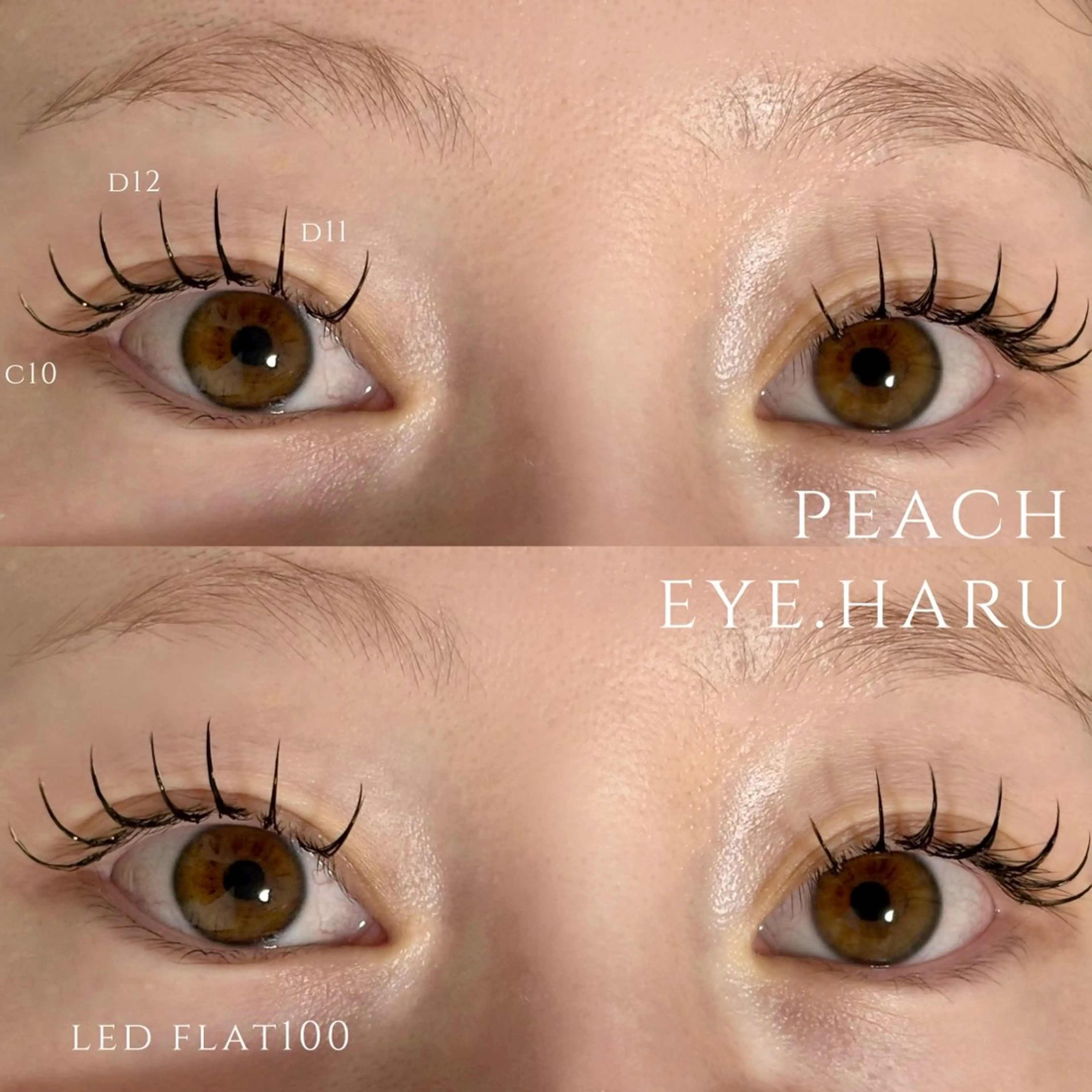 LEDマツエク🌼フラットラッシュ100本 コーティング仕上げ🙆🏻‍♀️の写真