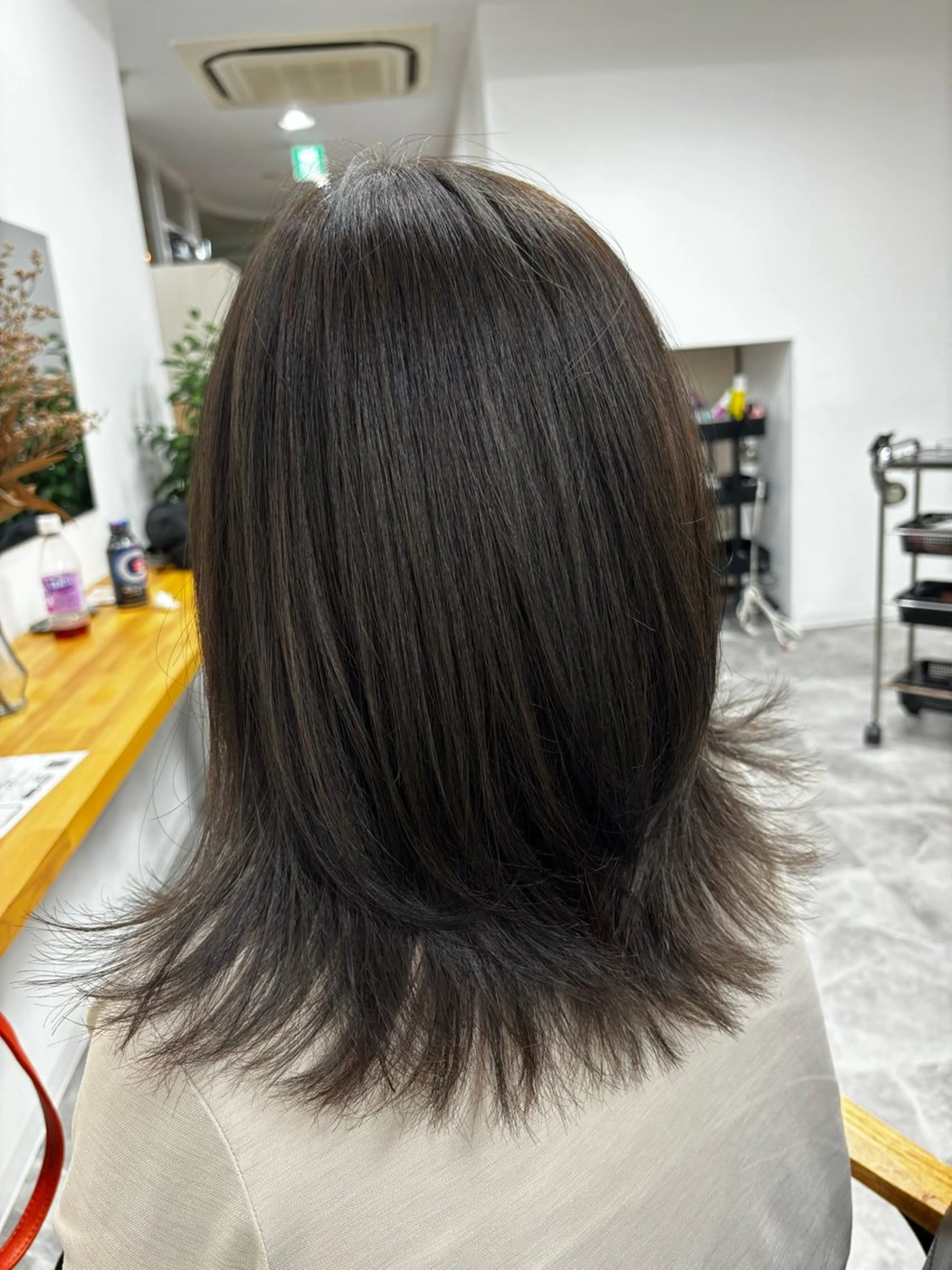 ロング カラー 透明感カラー ダブルカラー ハイライトカラー イルミナカラー インナーカラー ヘアカラー トリートメント misa🫧ナチュラ ル縮毛矯正/髪質改善のヘアスタイル