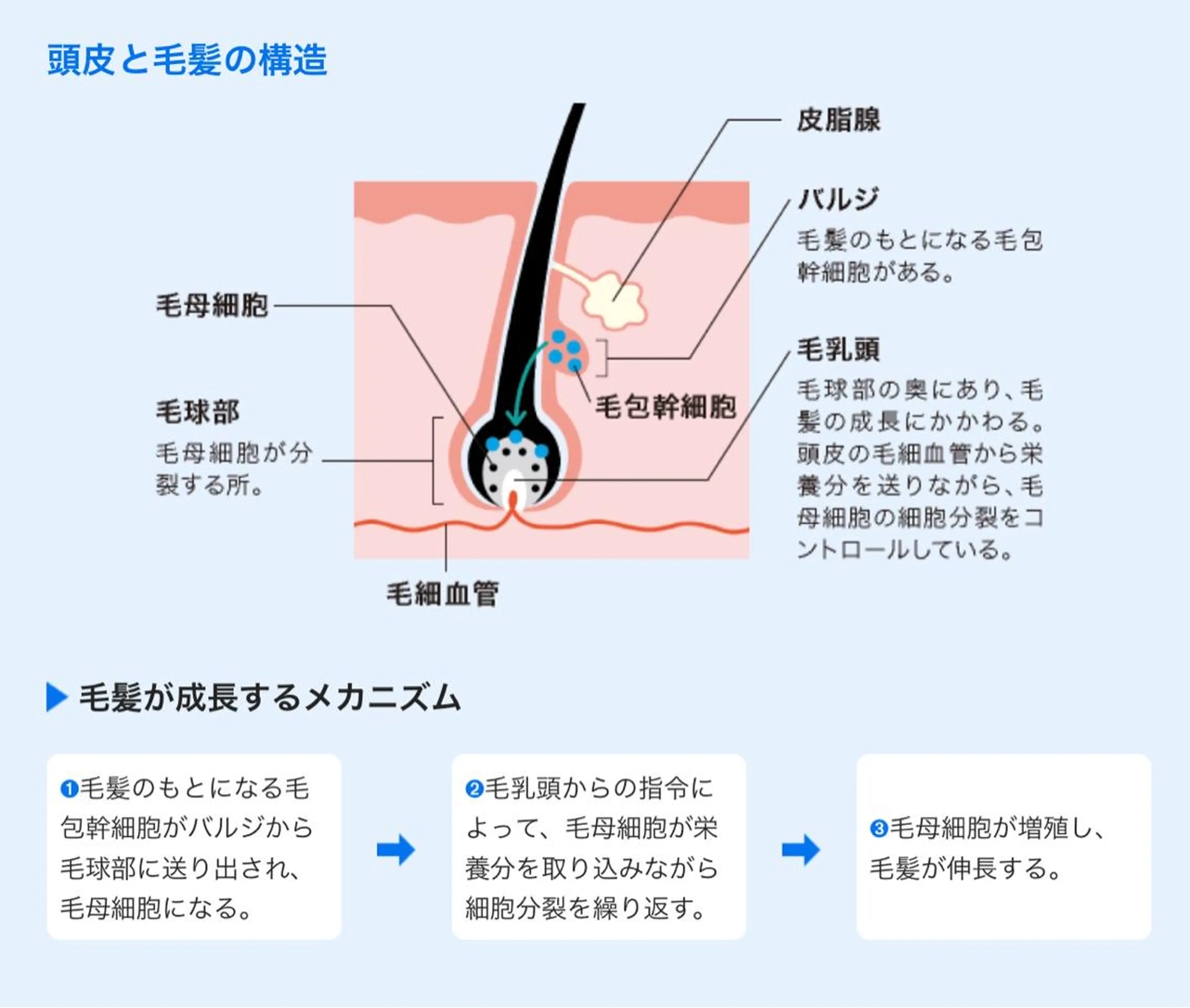 ショート カット ヘッドスパ エイジングケア特化 サーカス/育毛/スパのヘアスタイル