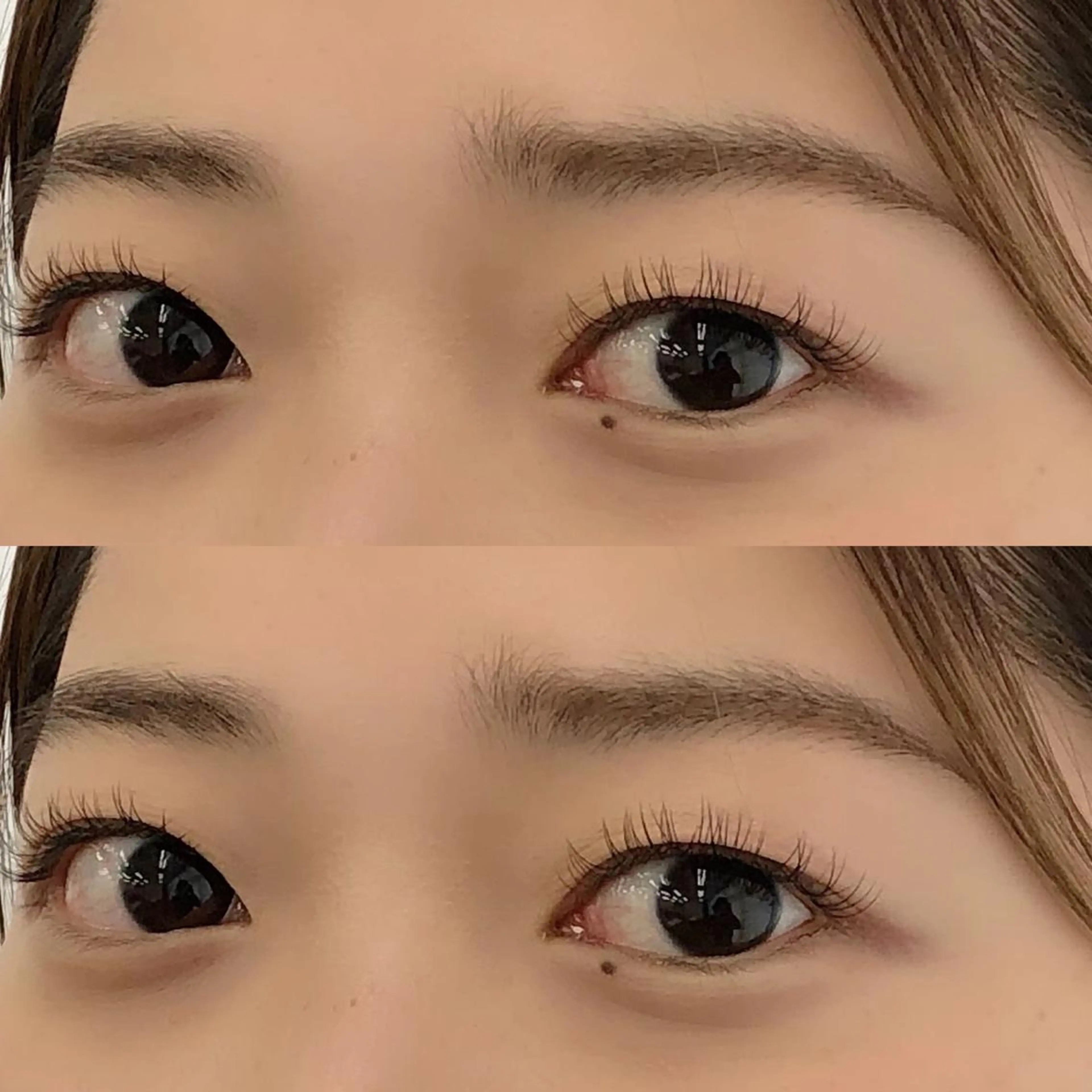 セーブル100本（他店オフ無料）の写真