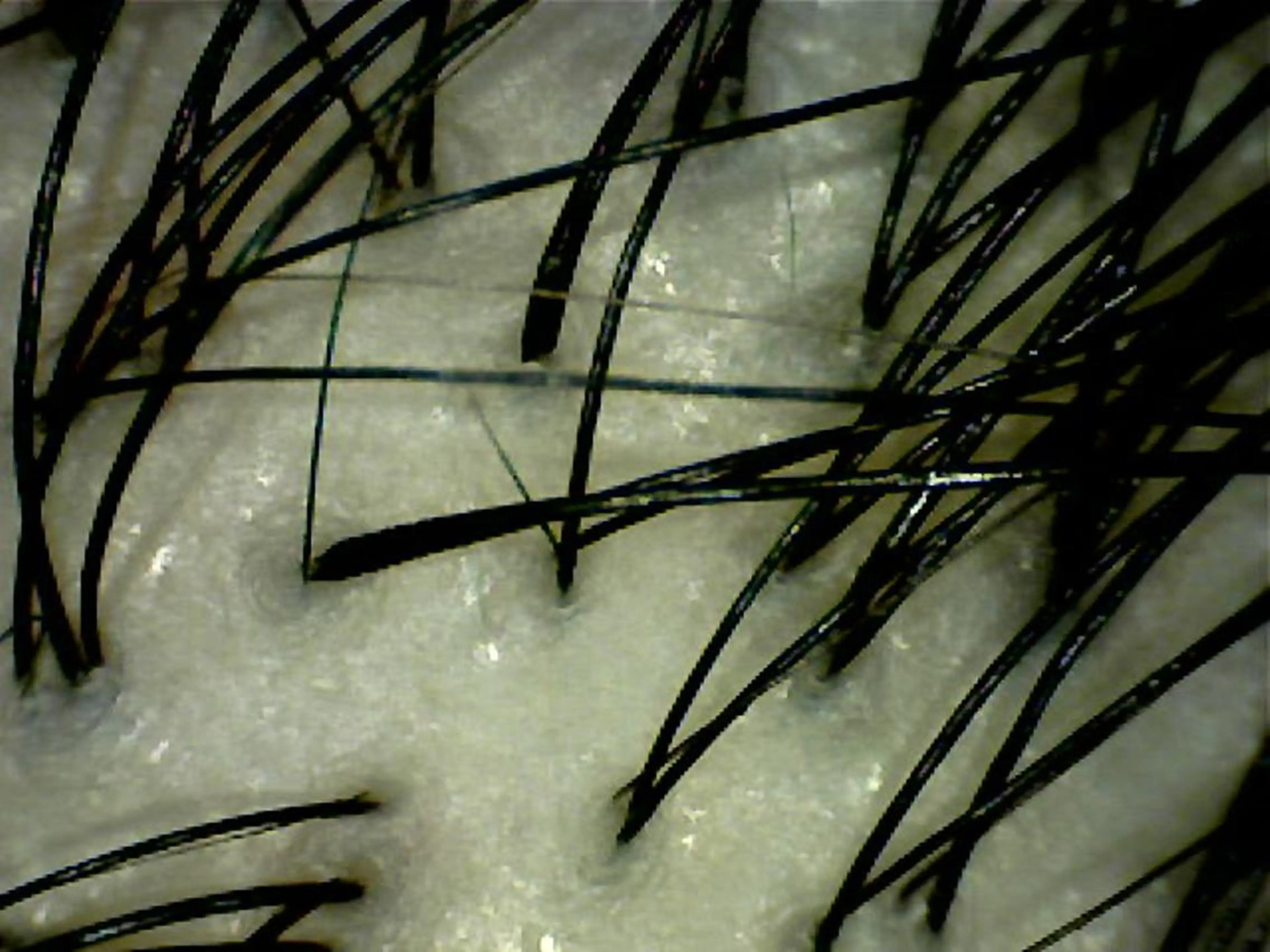 トリートメント ヘッドスパ cfr professional artist salon所属・佐野 智史のヘアスタイル