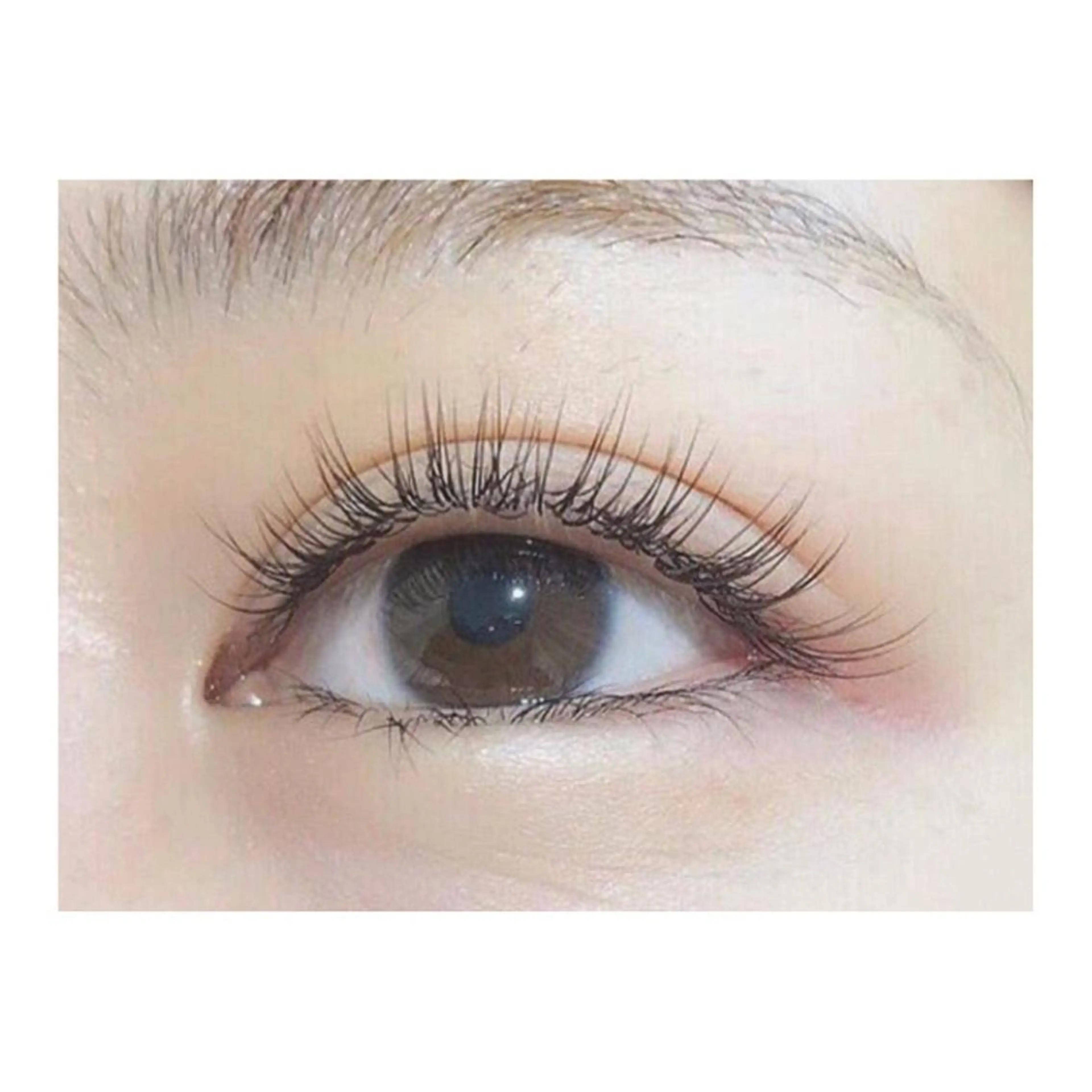 マツエク・マツパ マツエク ANNE chizuのマツエク・マツパデザイン