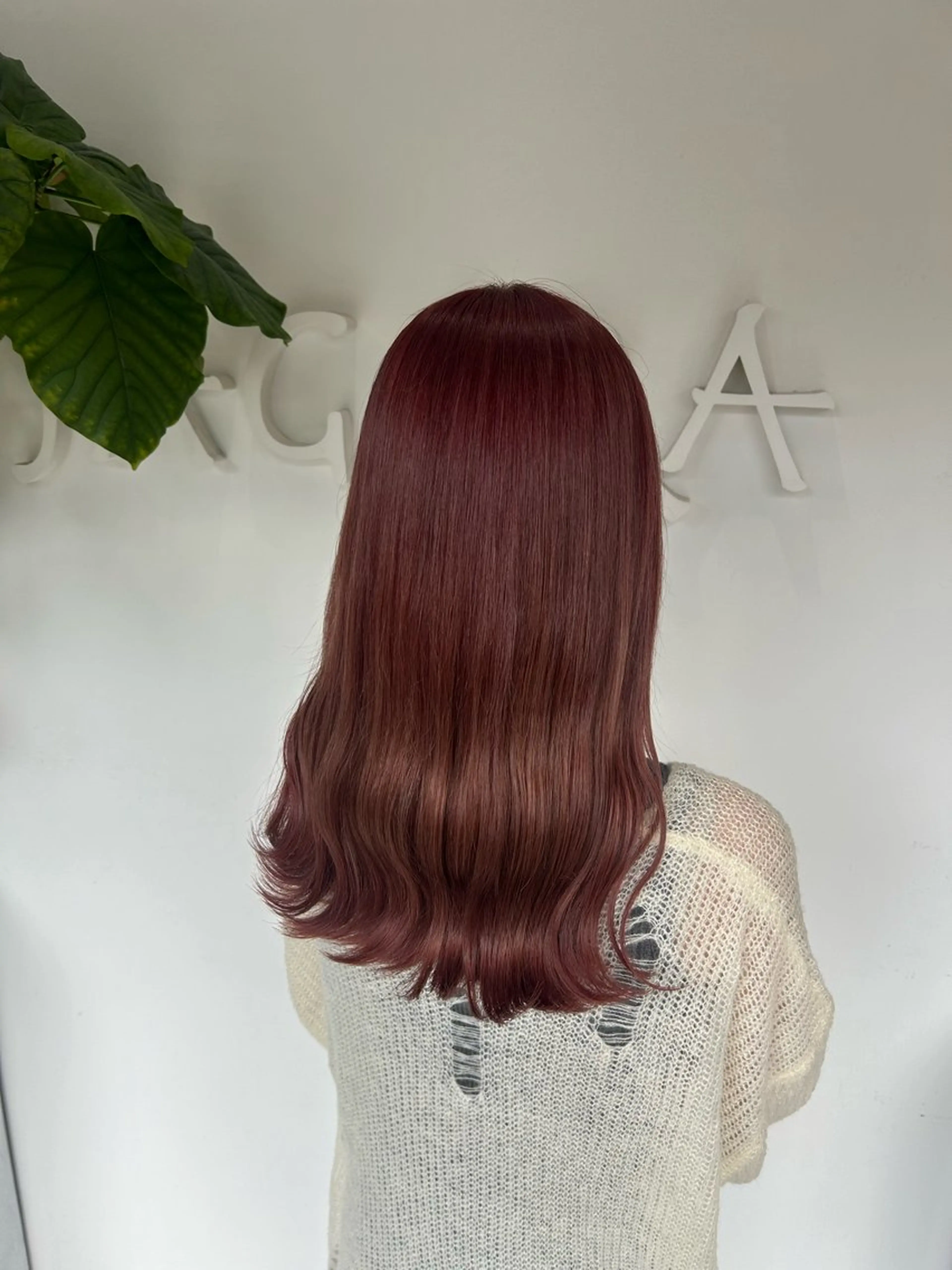 【✨️当日予約限定✨️】🩵明るめふんわりカラー♡➕カット➕1stepトリートメント 🫧🩵の写真