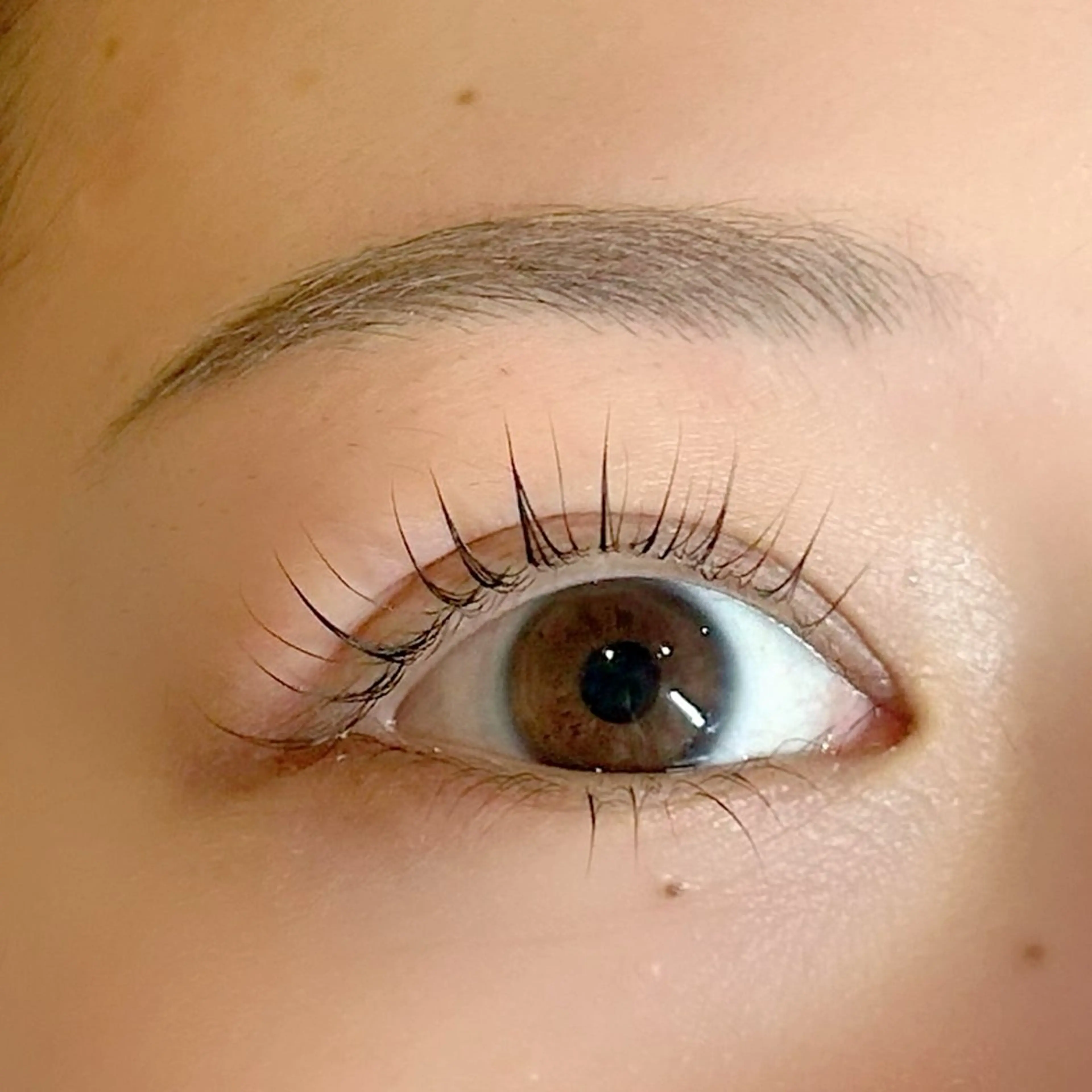 アイブロウ その他(アイブロウ) まつ毛/眉毛サロン Miri山下のマツエク・マツパデザイン