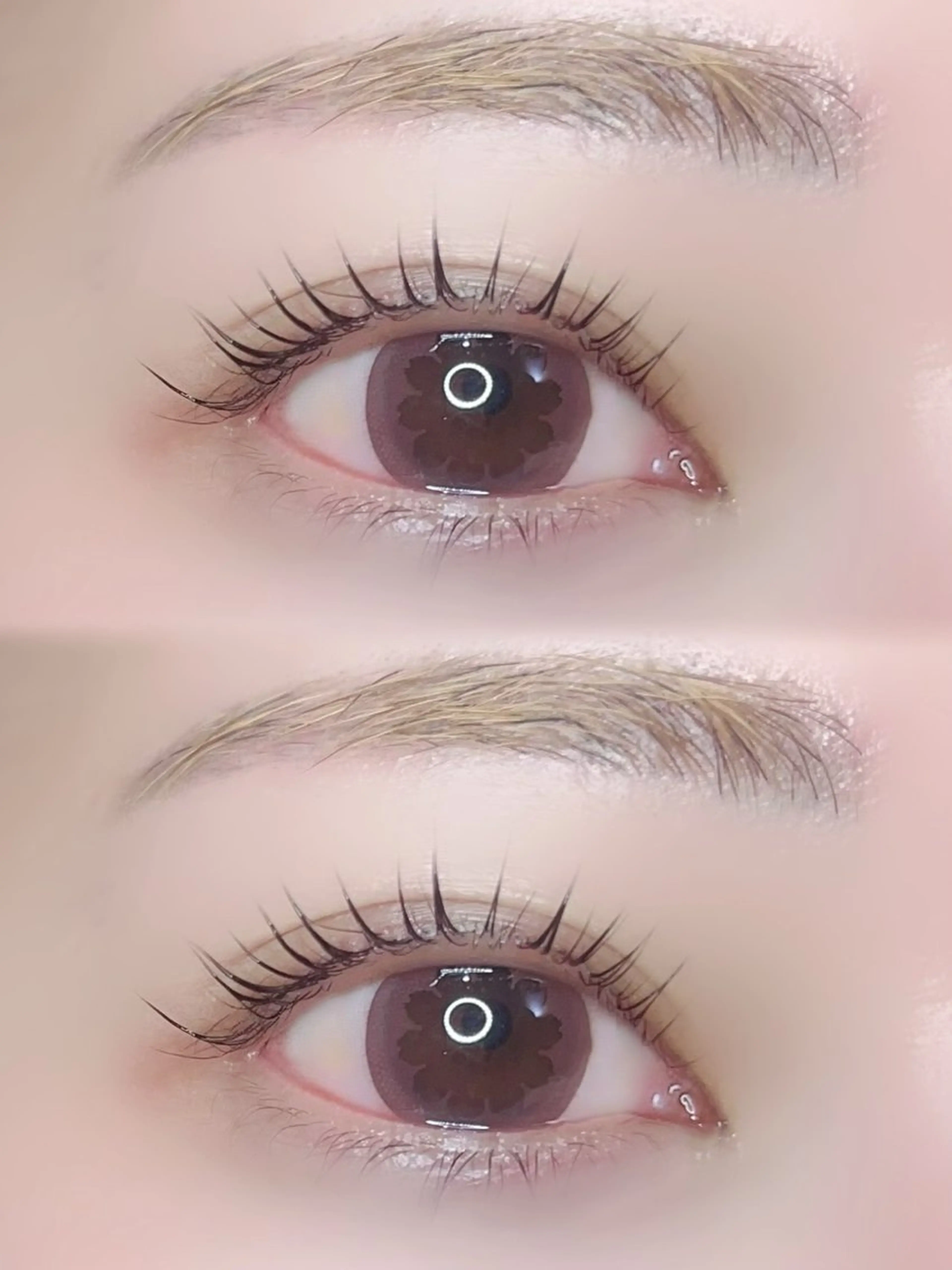 韓国🇰🇷マスカラパーマ(パリジェンヌorまつ毛パーマ)の写真