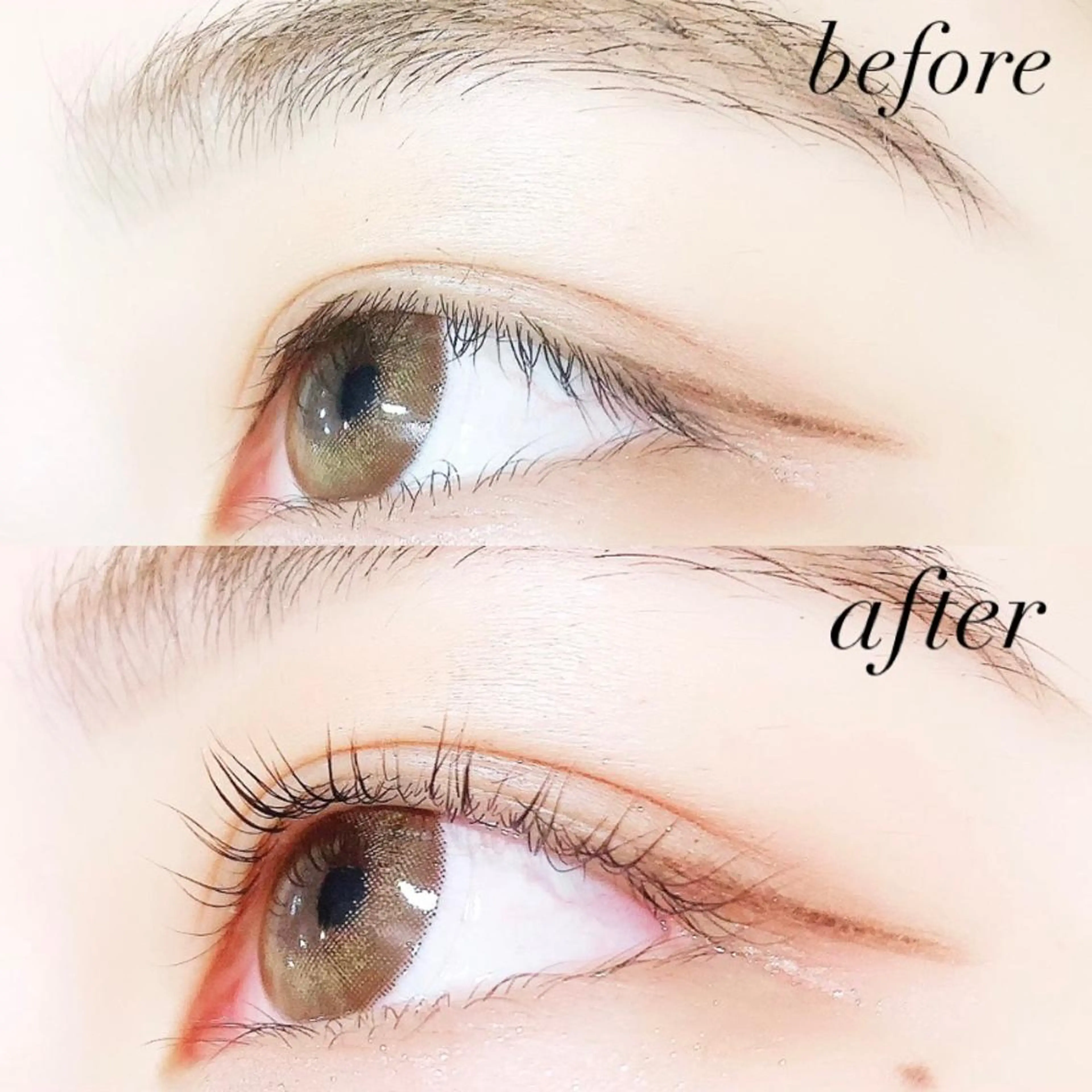 マツエク・マツパ 一重×まつ毛パーマ 【Lanhr】 🕊aya🕊のマツエク・マツパデザイン