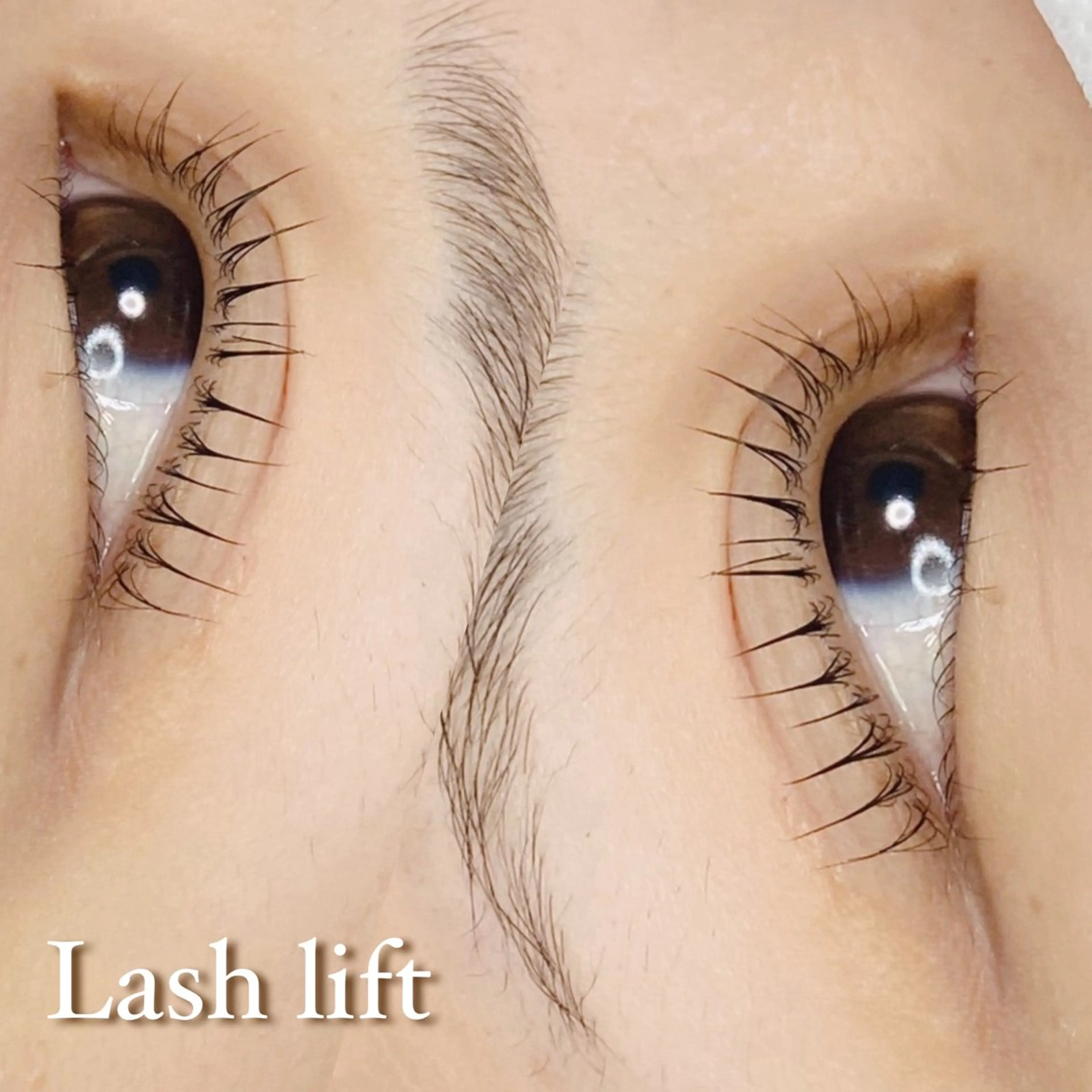 マツエク・マツパ まつげパーマ Miyu🦋 【Angelica】のマツエク・マツパデザイン