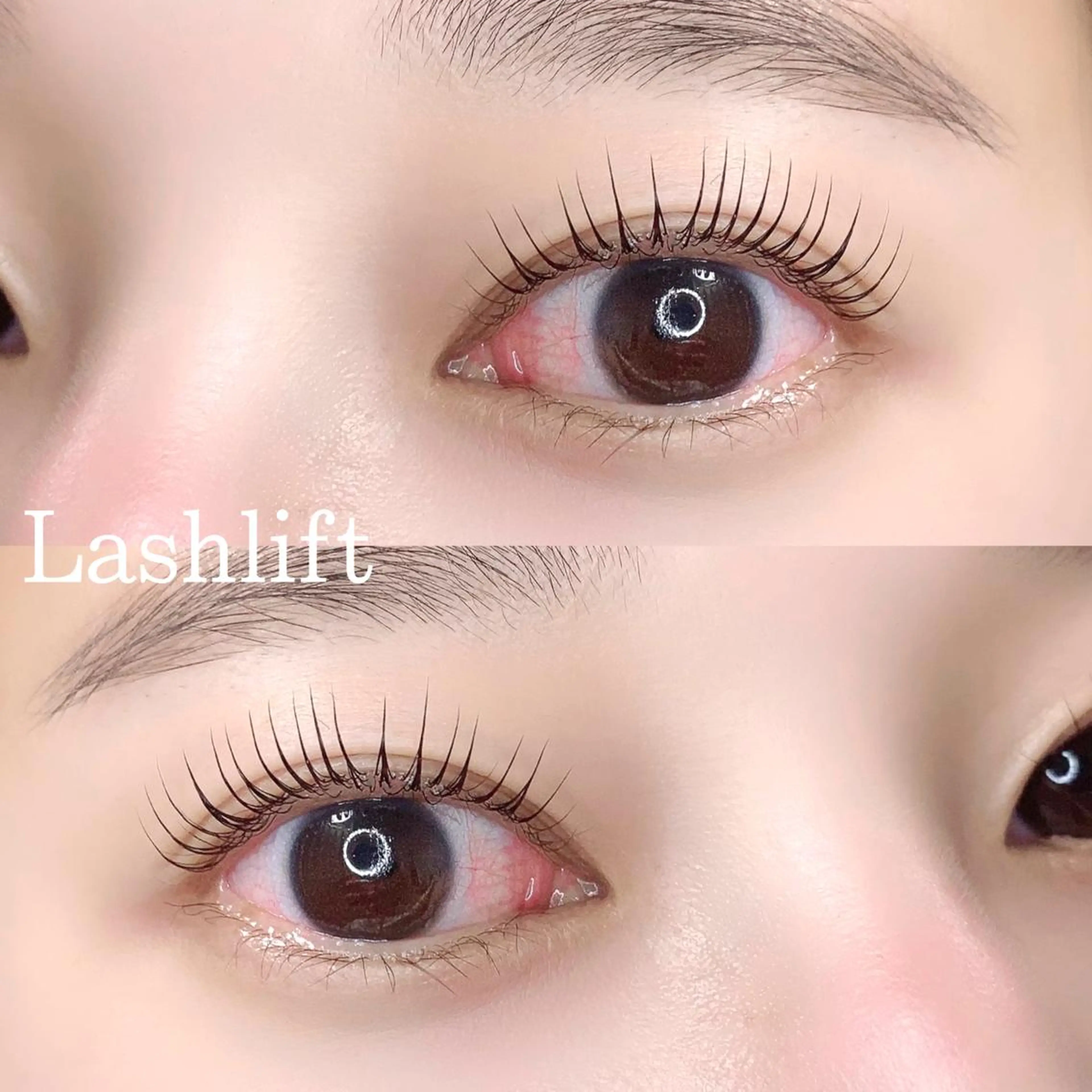 マツエク・マツパ eyelash "Koa"🕊🤎のマツエク・マツパデザイン