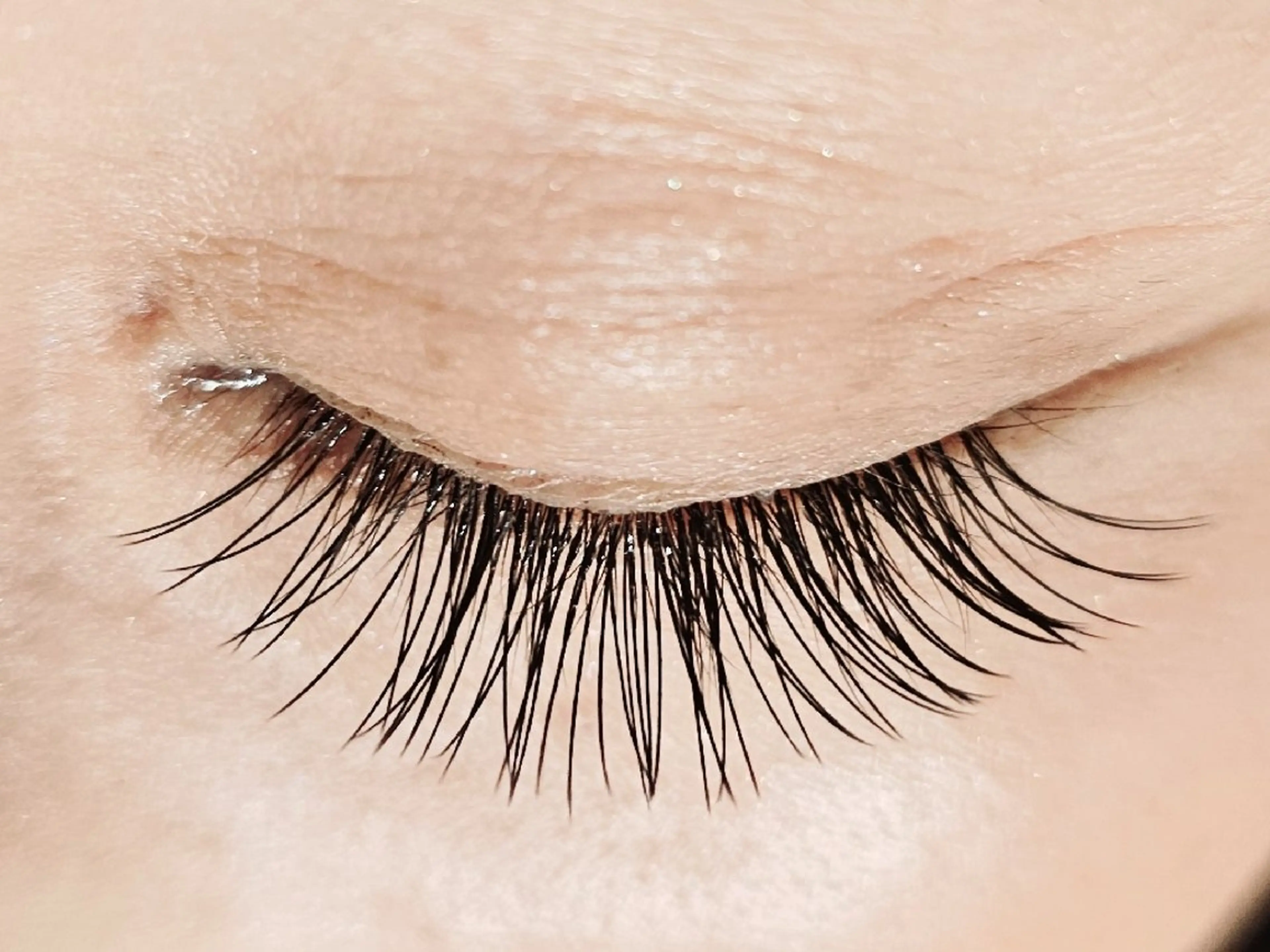 マツエク・マツパ フラットラッシュ マツエク mila池袋 原田 (&3)のマツエク・マツパデザイン