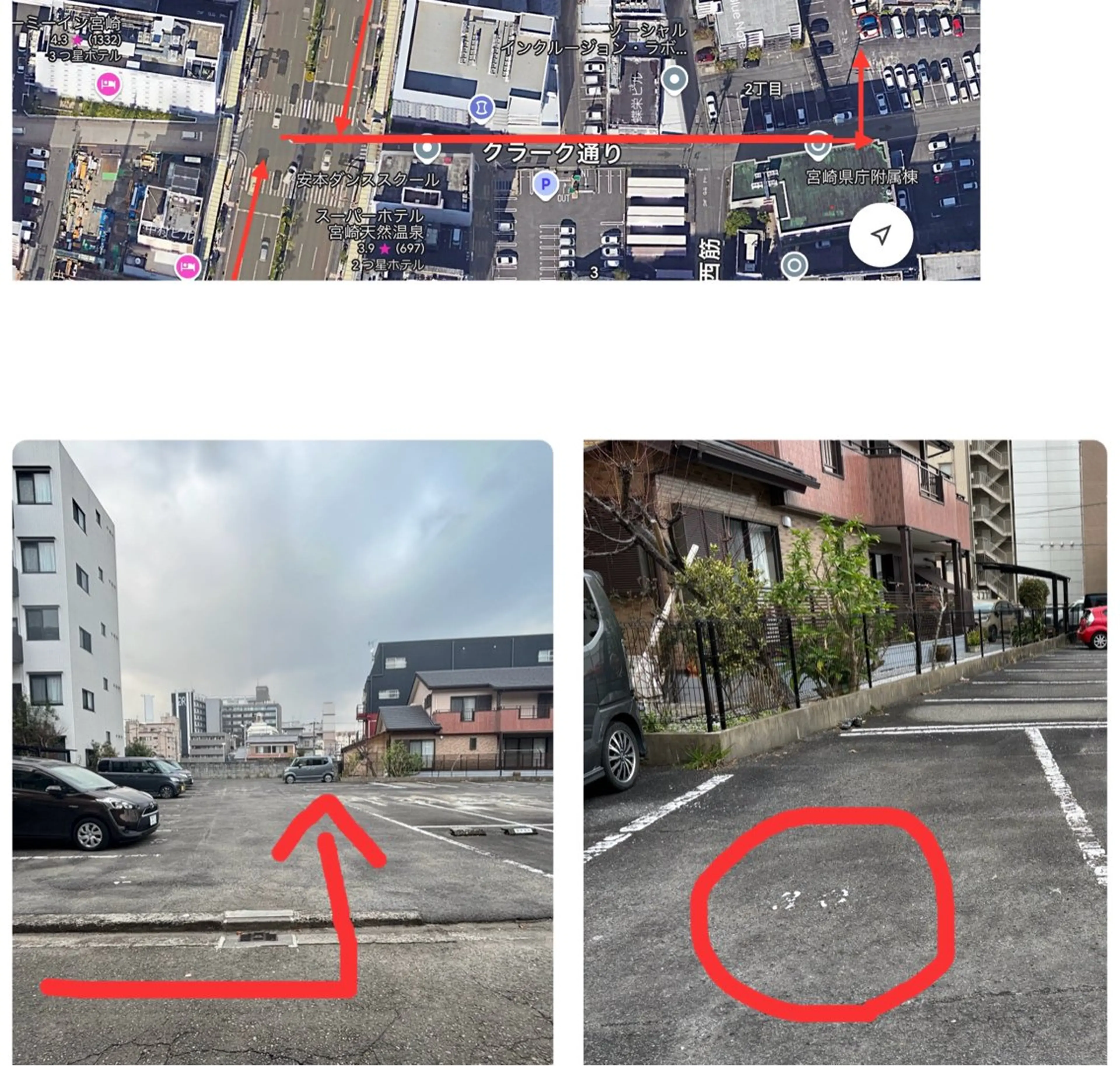 Perl blueの眉毛・アイブロウイメージ