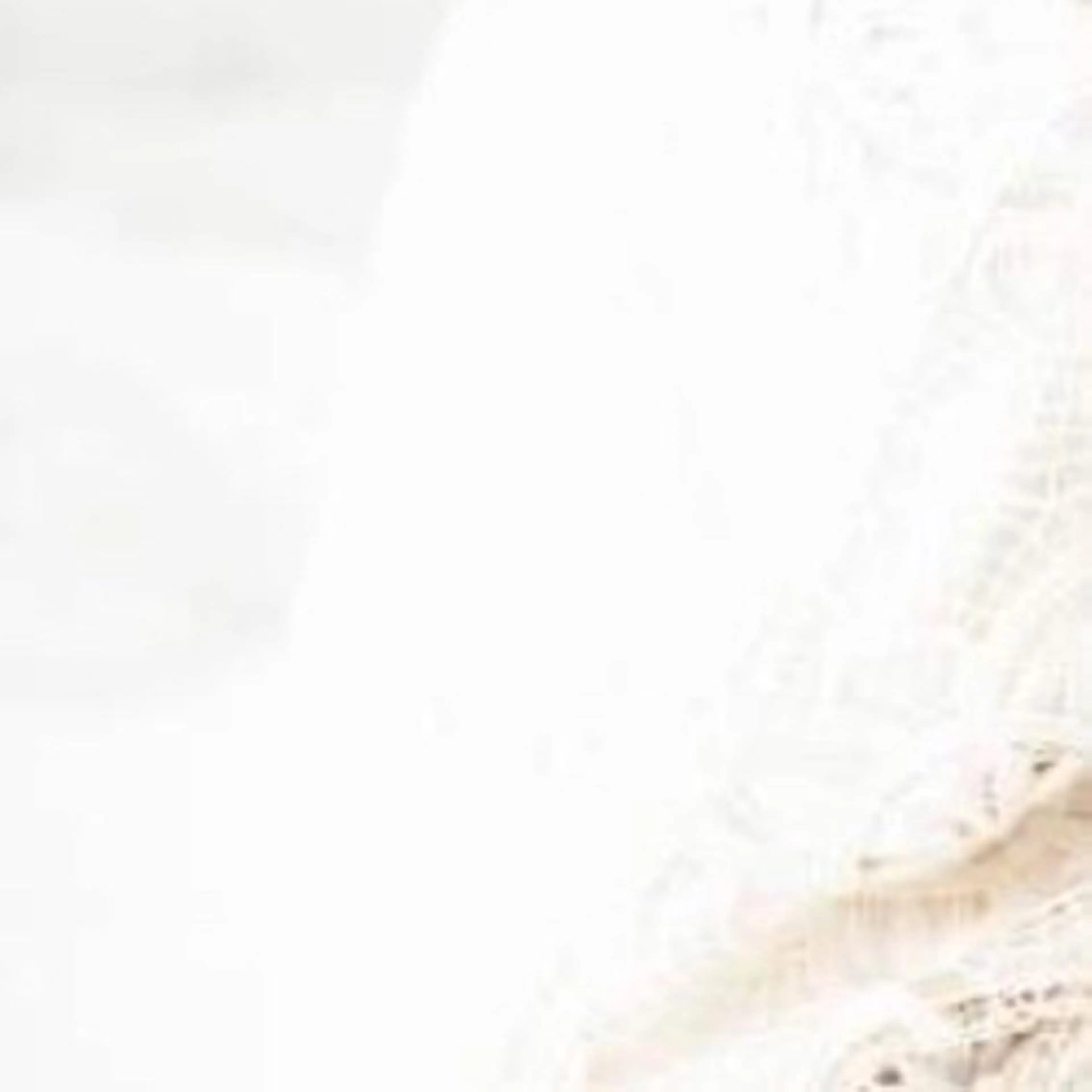 セミロング カラー パーマ ヘアアレンジ 艶髪カラー&ウルフ フルカワ ヒロズミのヘアスタイル