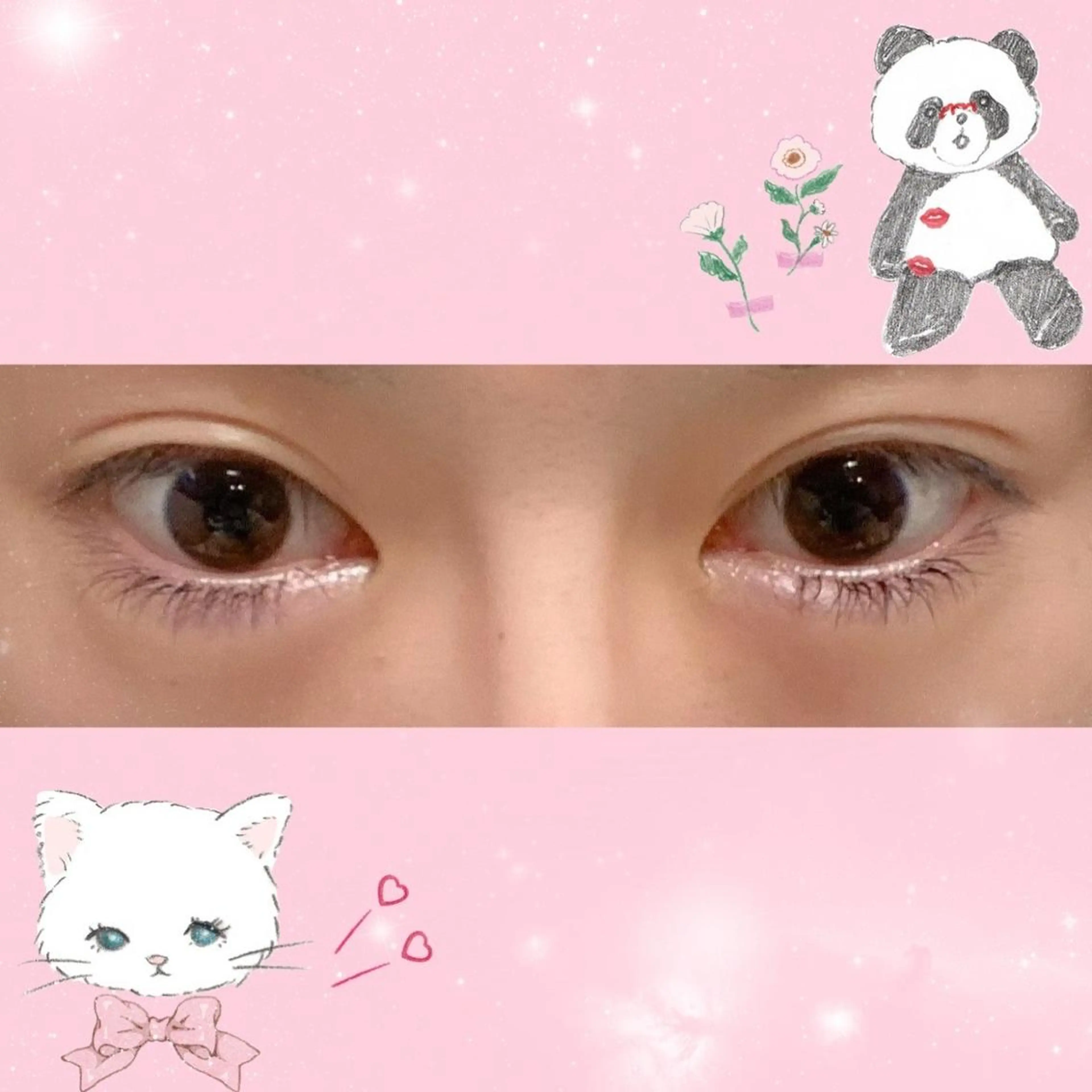 💜🐹LEDグルー下まつげエクステ🐹💜の写真