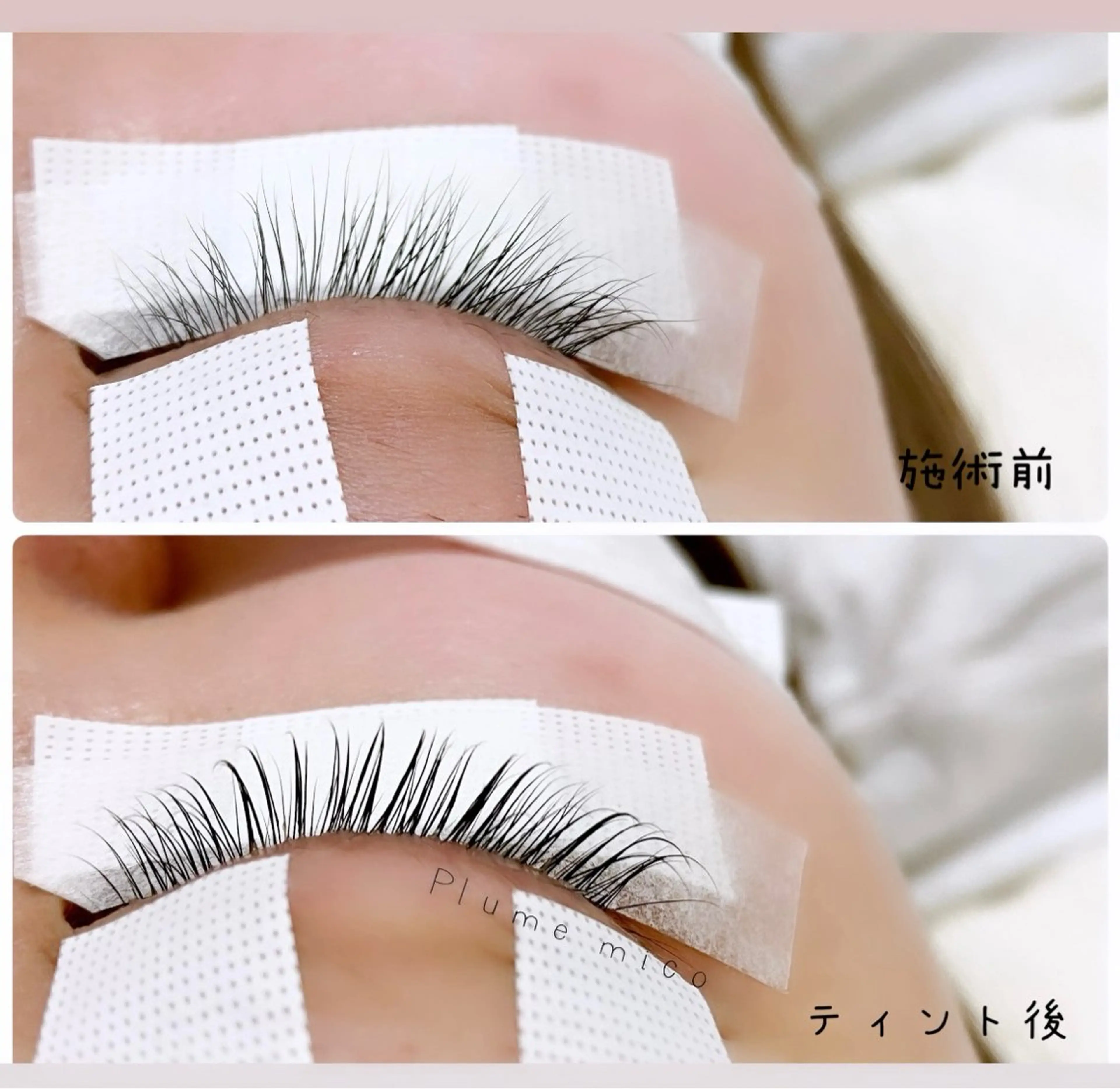 マツエク・マツパ マツパ Plume micoのマツエク・マツパデザイン