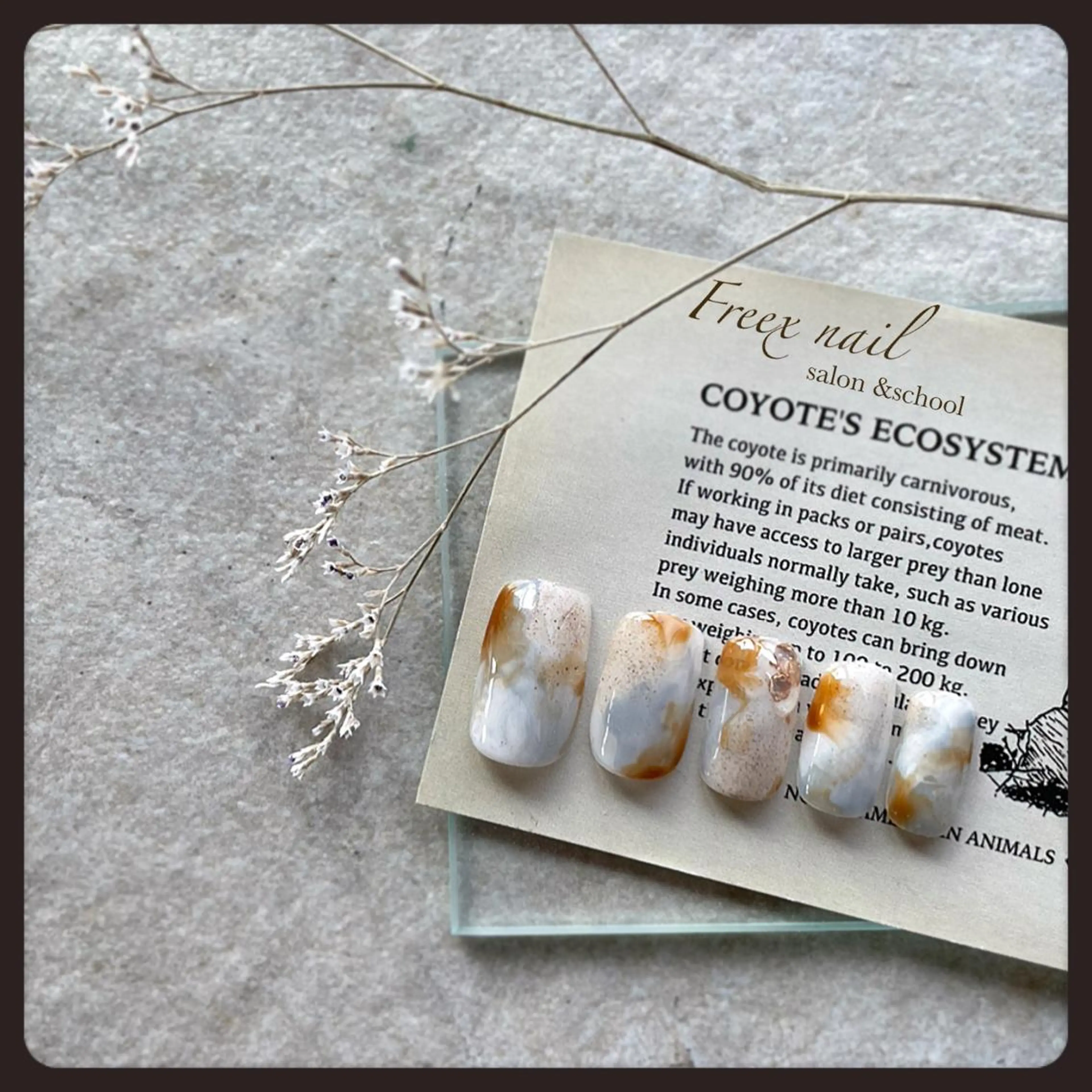 ネイル ニュアンスネイル ハンドネイル ハンドケア freex nail /ニュアンス/個性派のネイルデザイン