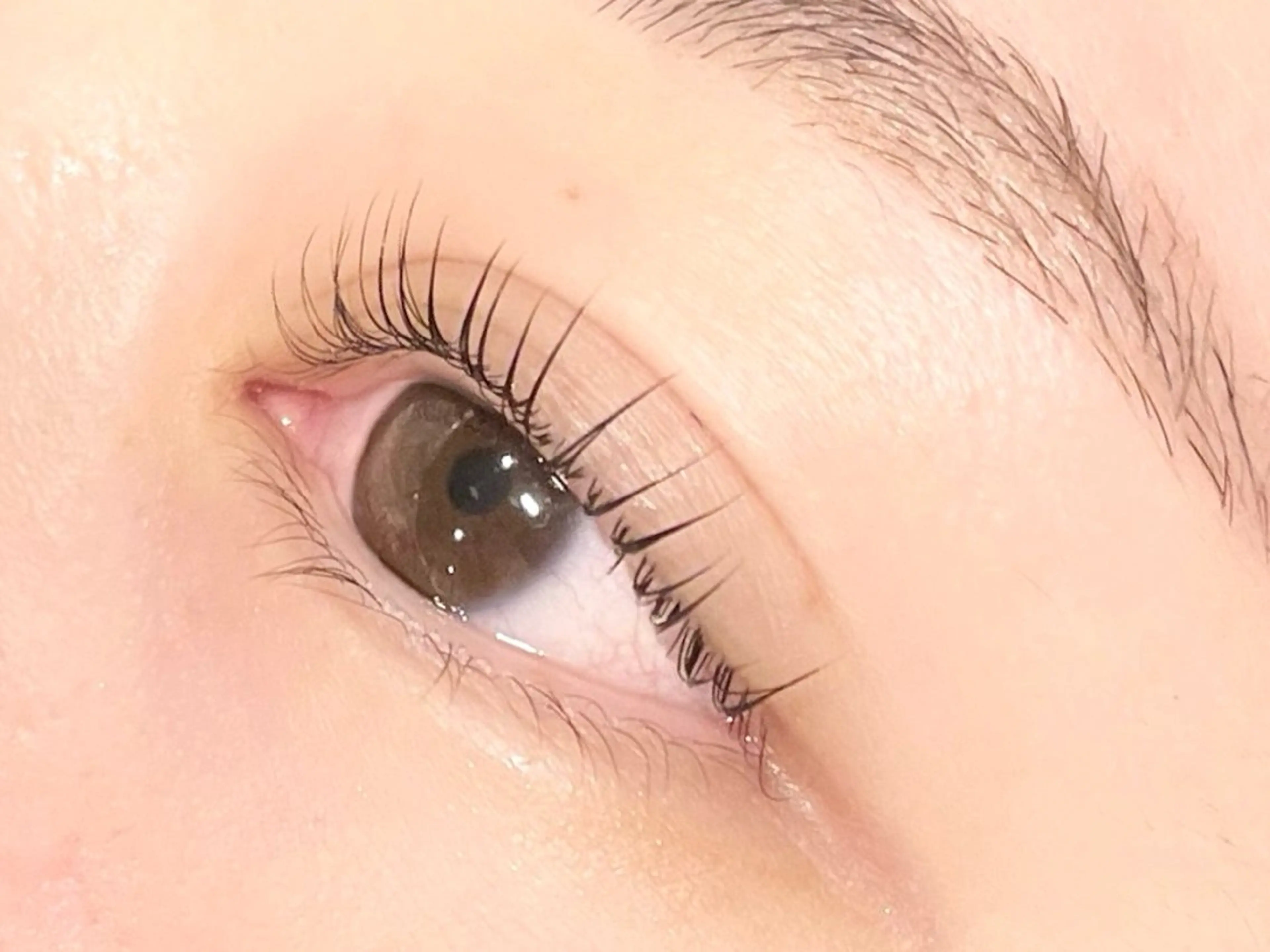 ✨束感仕上げ✨【まつげパーマ/パリジェンヌラッシュリフト】🌿トリートメント付き🌿10​〜​15時🌿の写真