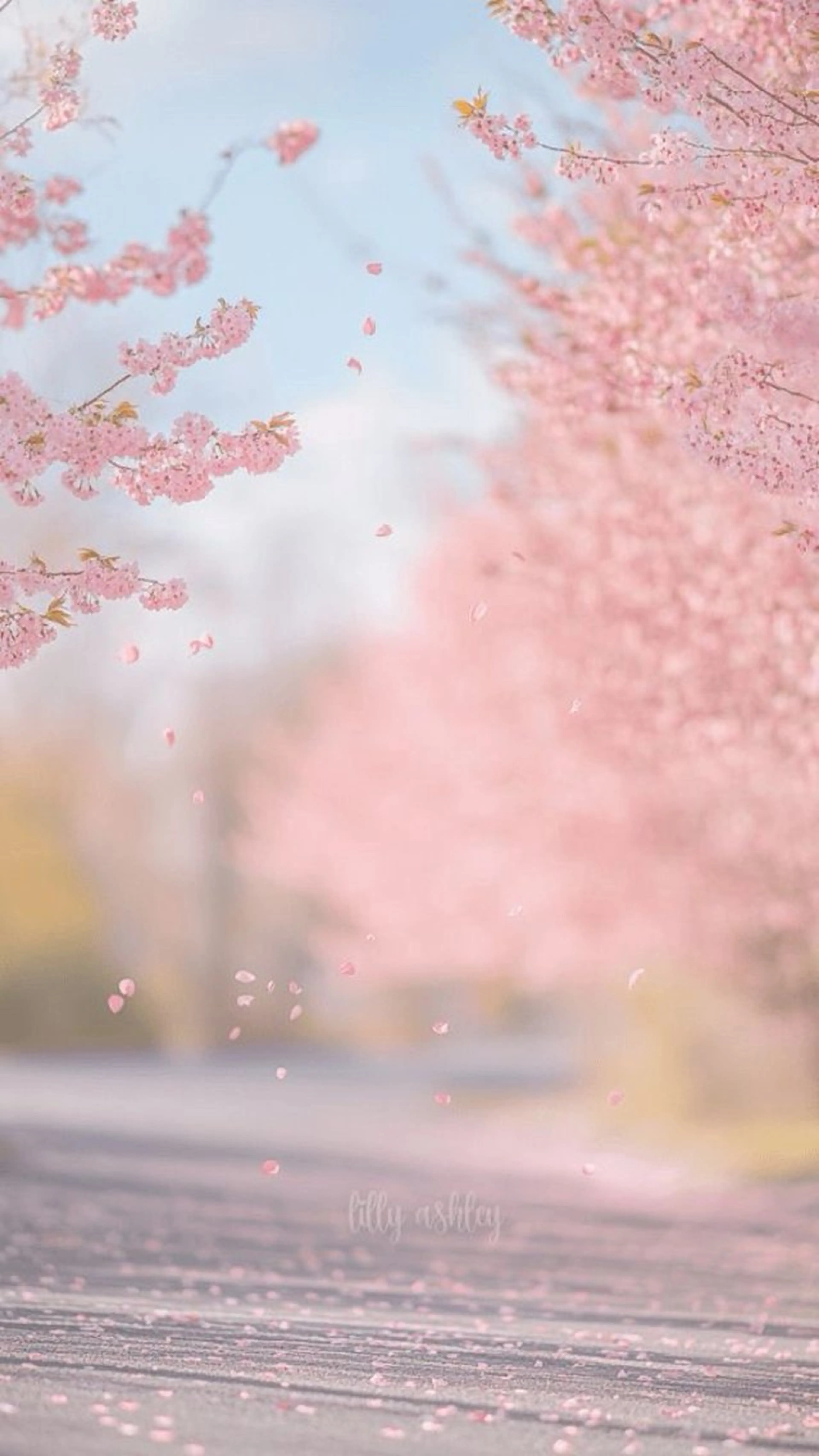 NAO🐰🎀 ちゅるん⌇パラジェルのネイルデザイン