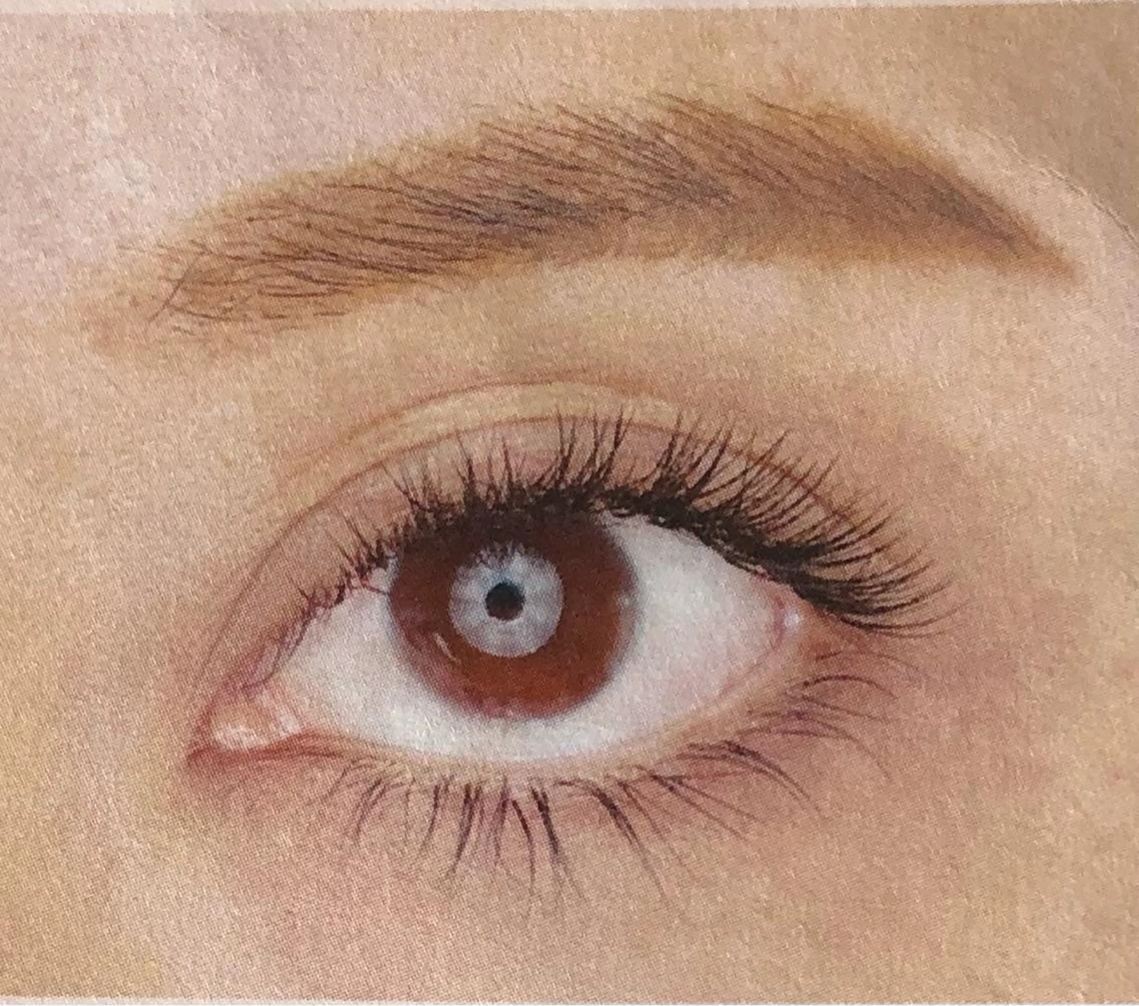 アミノ酸まつ毛パーマの写真