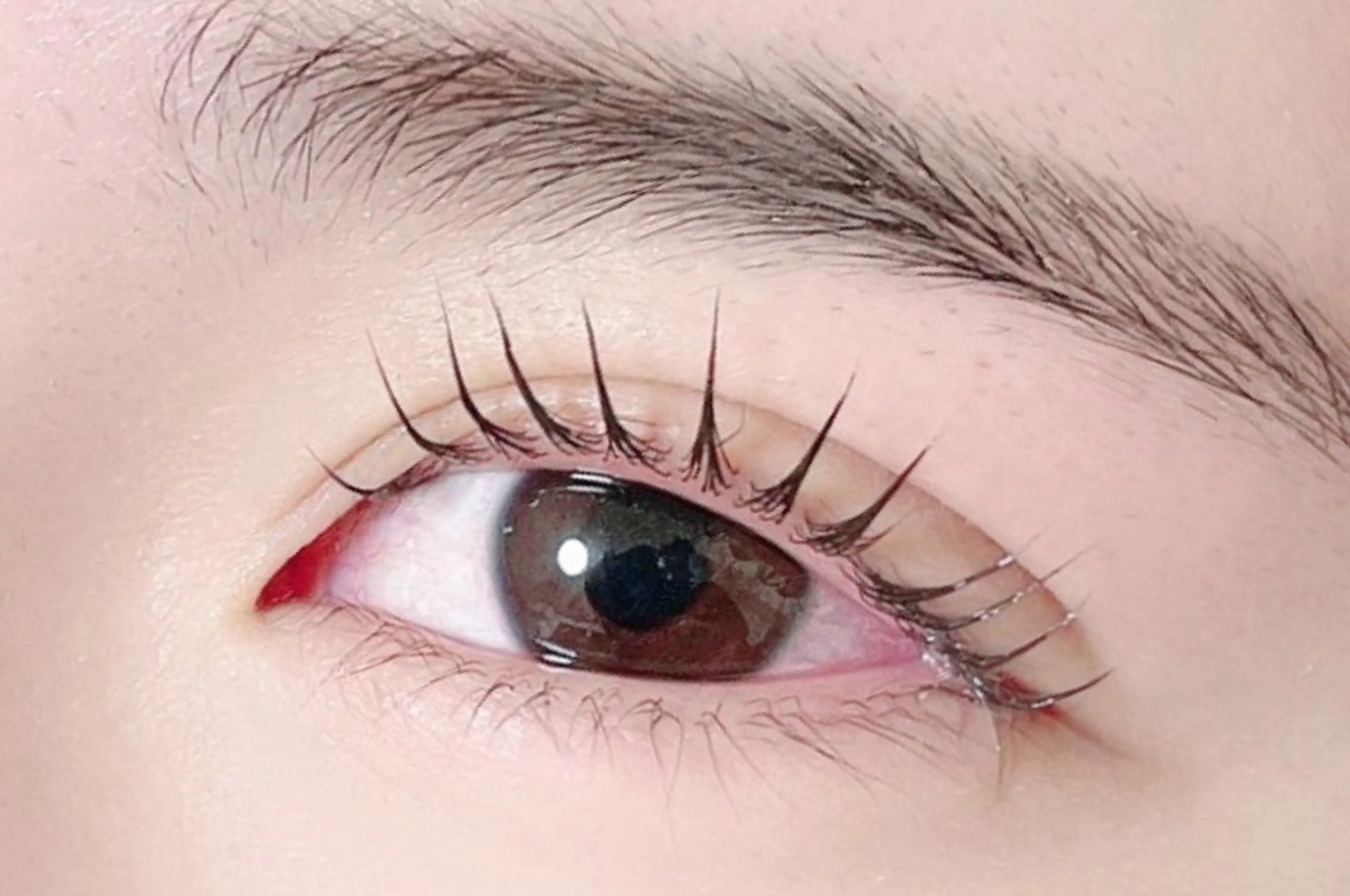 マツエク・マツパ マツパ Allybell🫧 Annaのマツエク・マツパデザイン