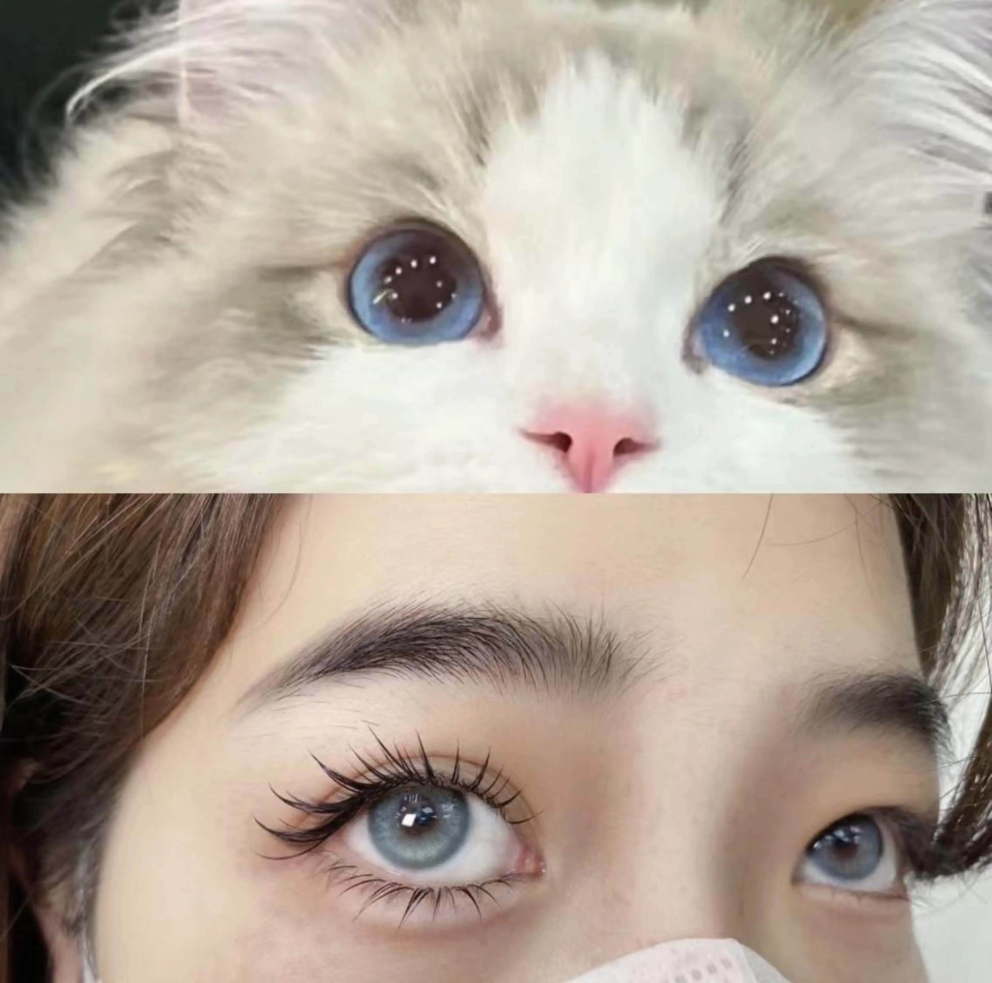 マツエク・マツパ arana eyelashのマツエク・マツパデザイン