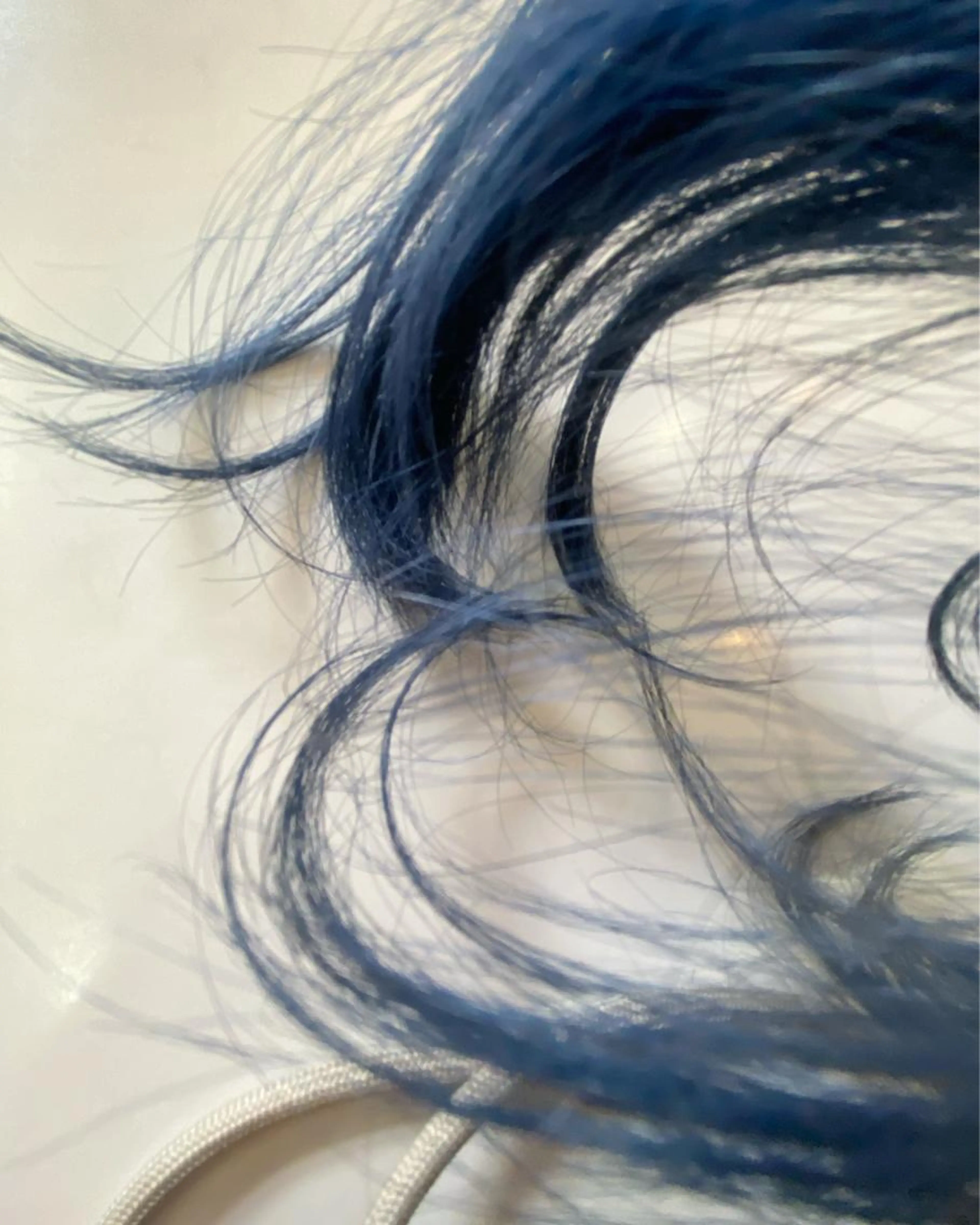 🦕2回目以降の方🦕色味やハイトーンしたい方！ダブルカラーブリーチあり＋プチトリートメント＋プチトリートメントの写真