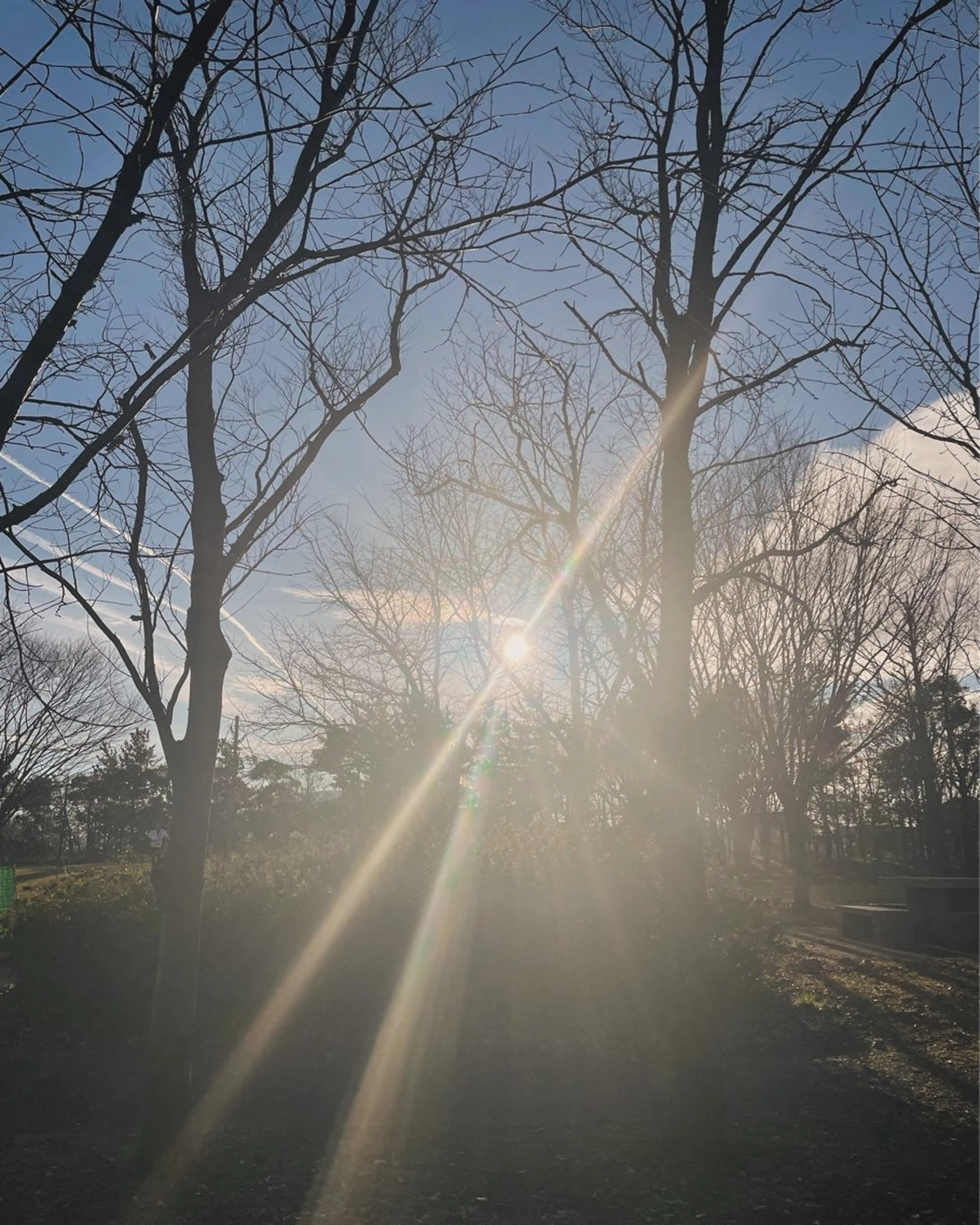 ネイル enn. makiのネイルデザイン