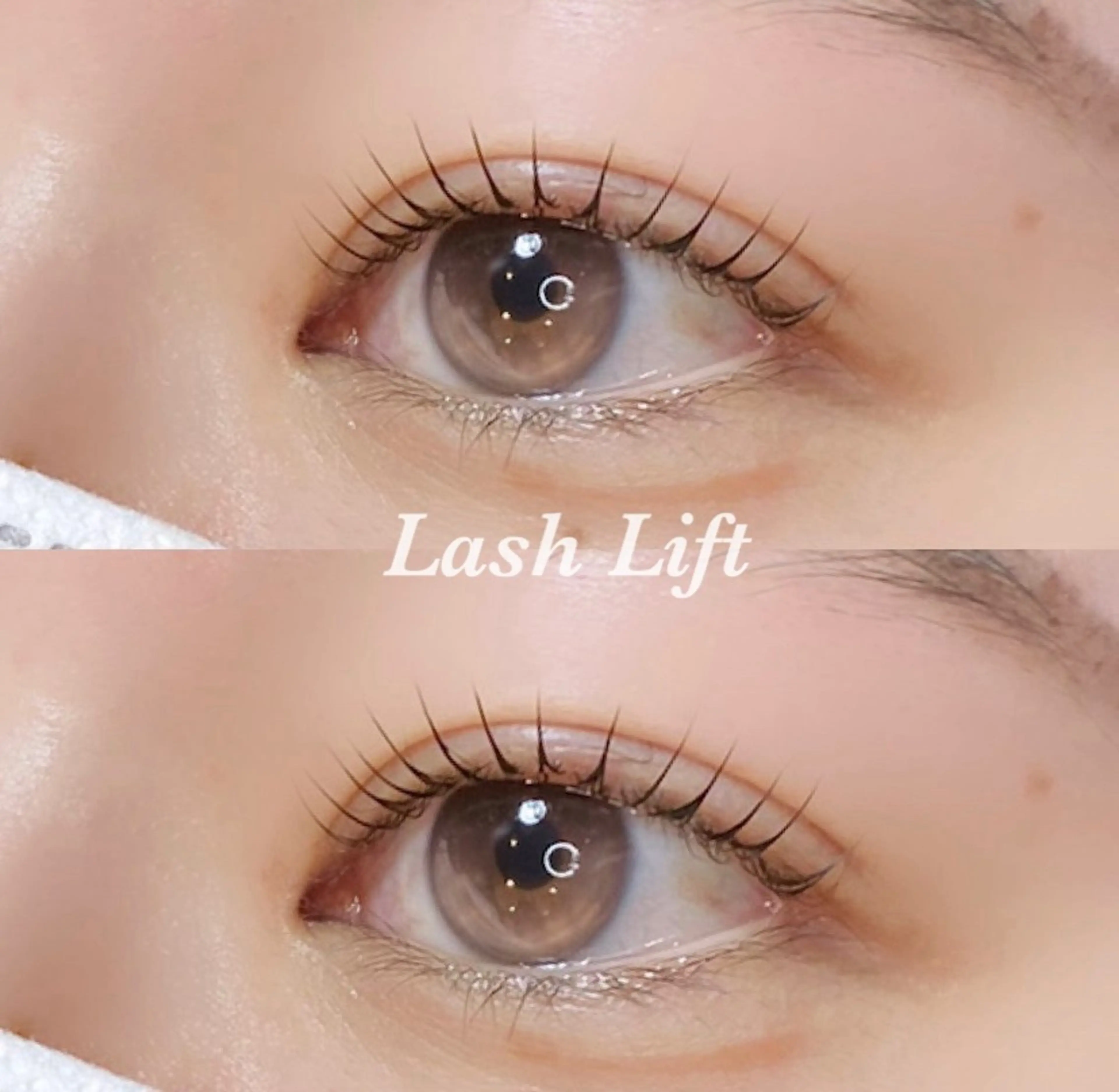 【パリジェンヌラッシュリフト🕊️🤍】コーティング仕上げ付き🫧✨の写真