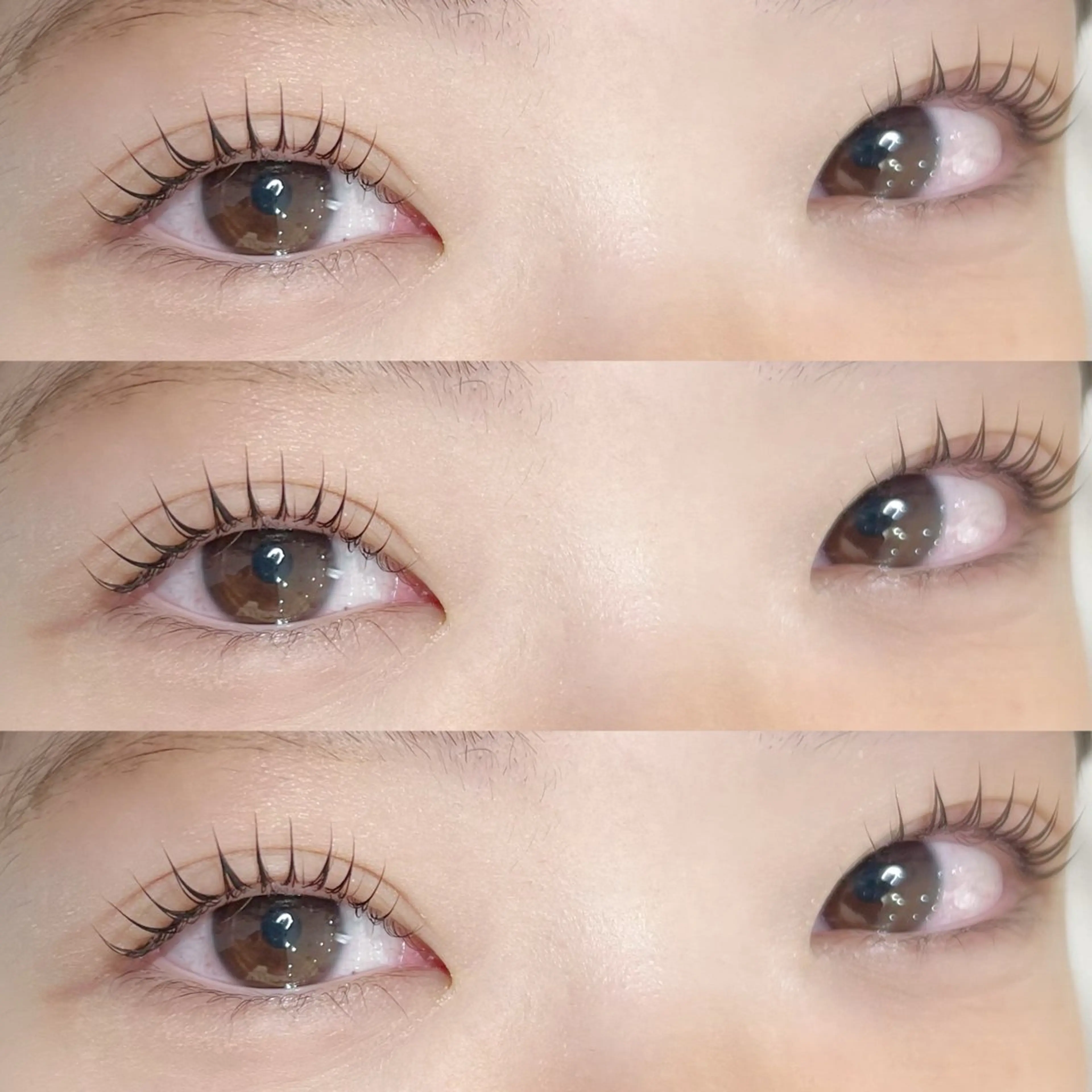 パリジェンヌor似合わせまつげパーマ【アイシャンプー+ケラチントリートメント付☁️🫧】の写真