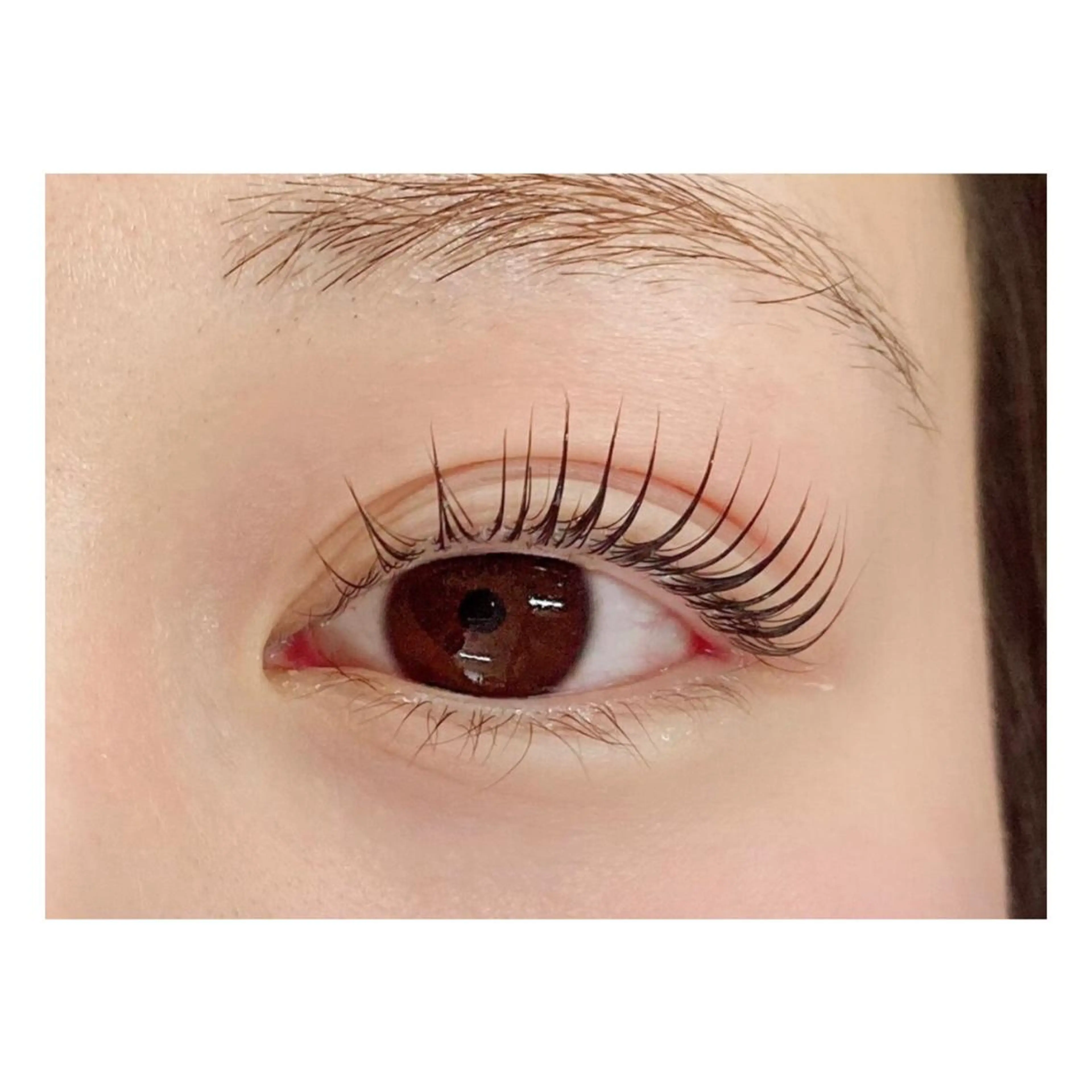 マツエク・マツパ 🩶Bianca IHARA🩶の眉毛・アイブロウイメージ