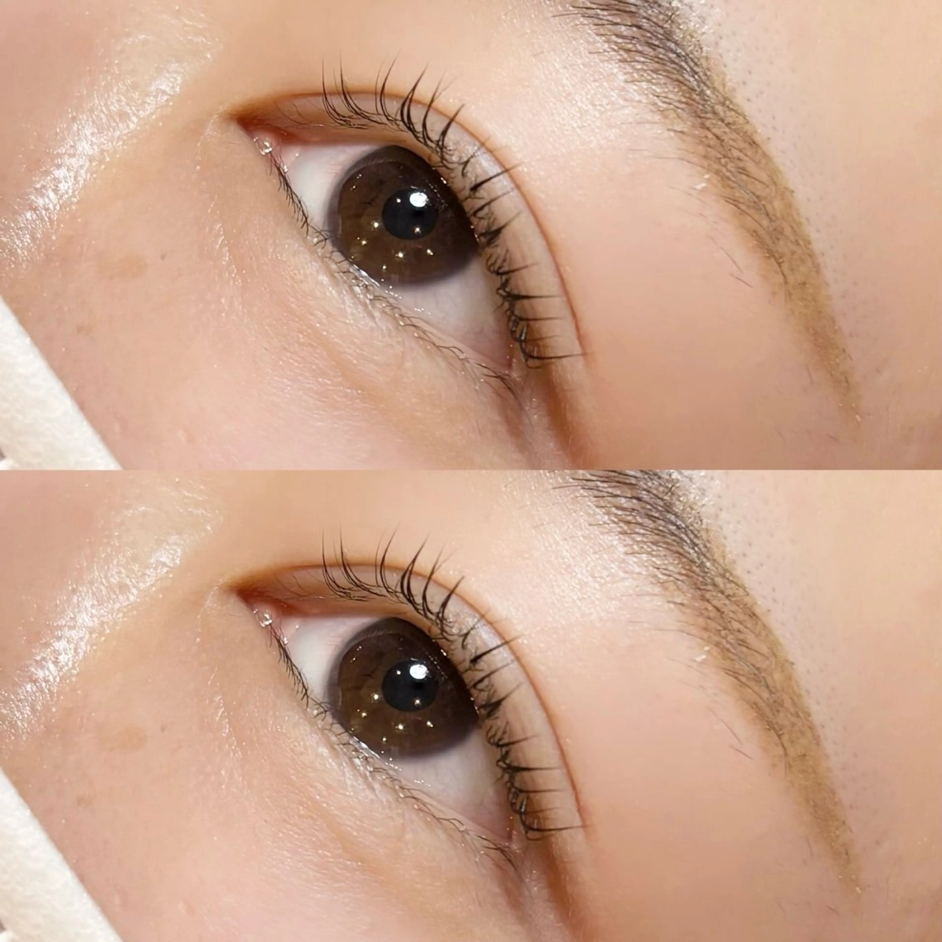 マツエク・マツパ meguru／マツパ ／マツエク／束感のマツエク・マツパデザイン