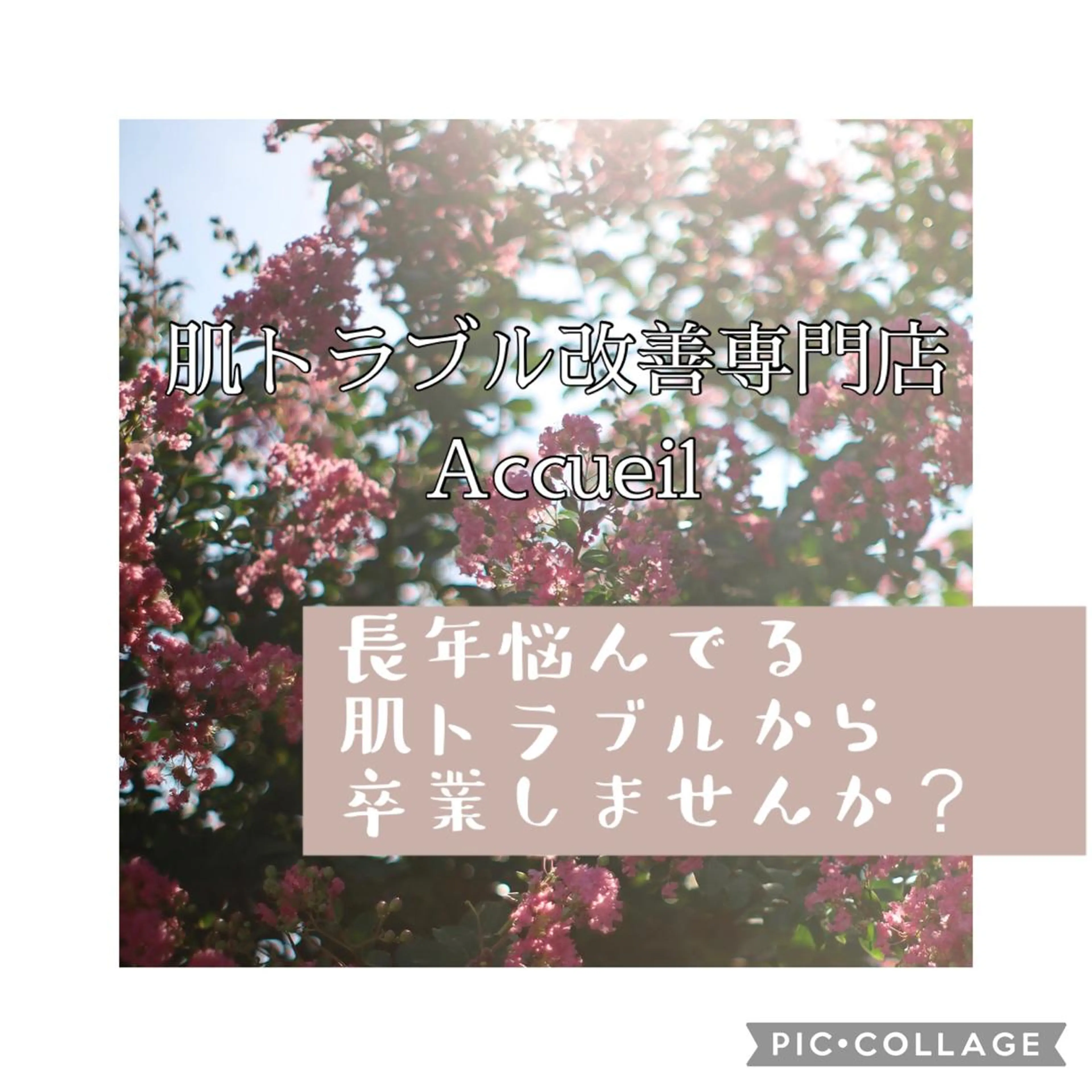 セミロング カラー パーマ ヘアアレンジ メンズ キッズ ネイル マツエク・マツパ アイブロウ エステ リラク ニキビ特化型エステ 🍋最短で肌質改善のエステ・リラクイメージ