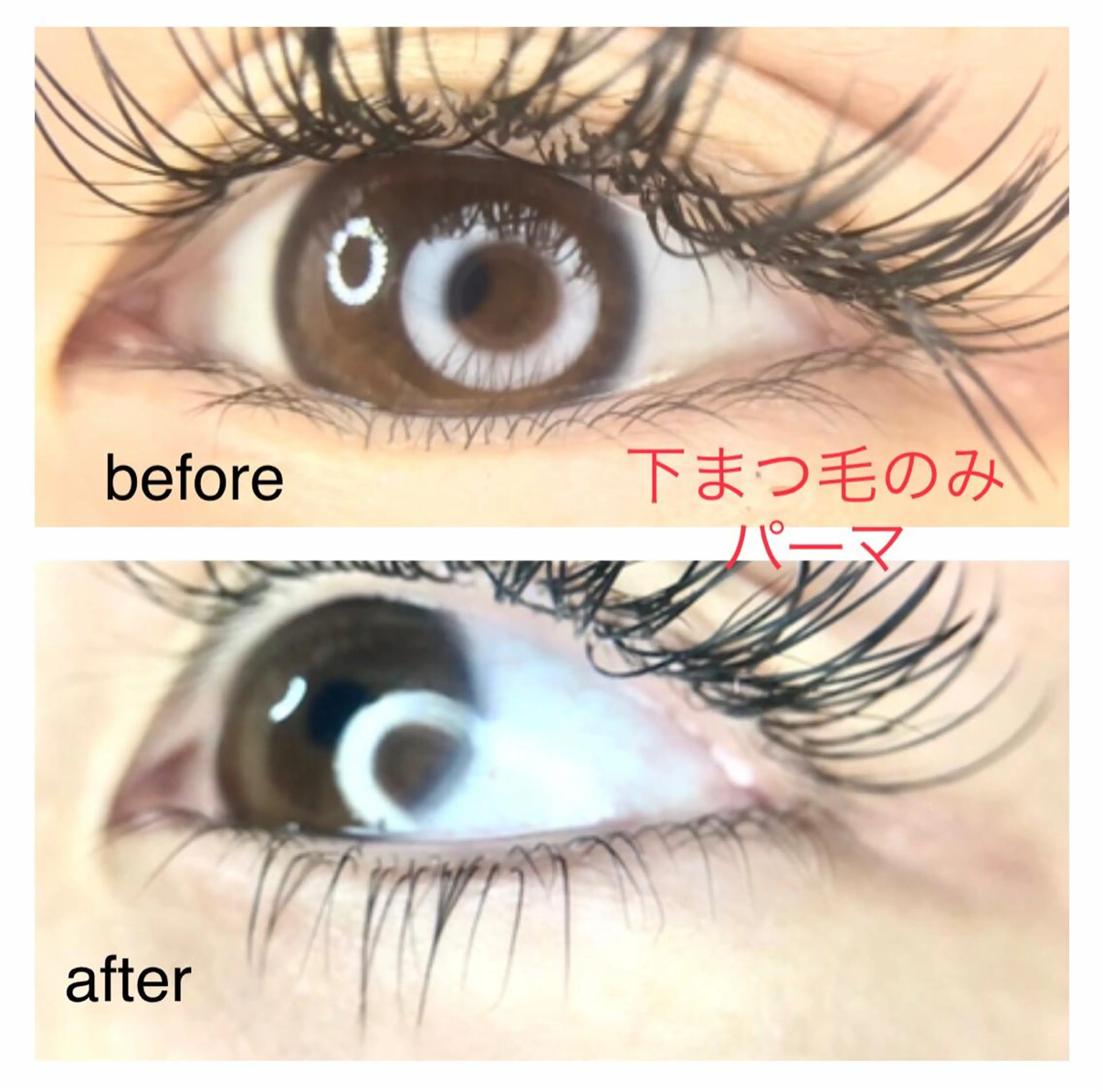 マツエク・マツパ キュート 下まつげエクステ リアン SAORIのマツエク・マツパデザイン