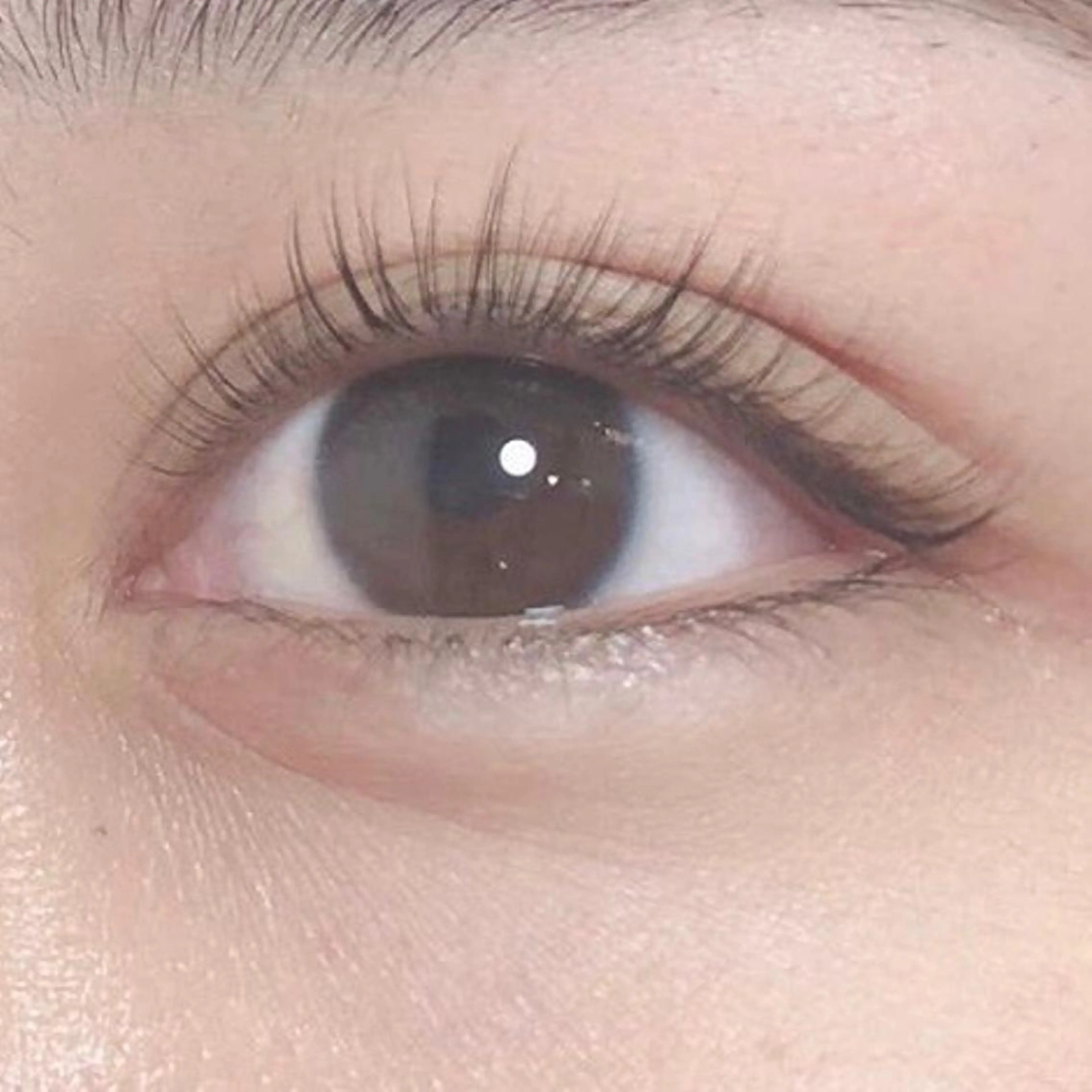 まつ毛カールの写真