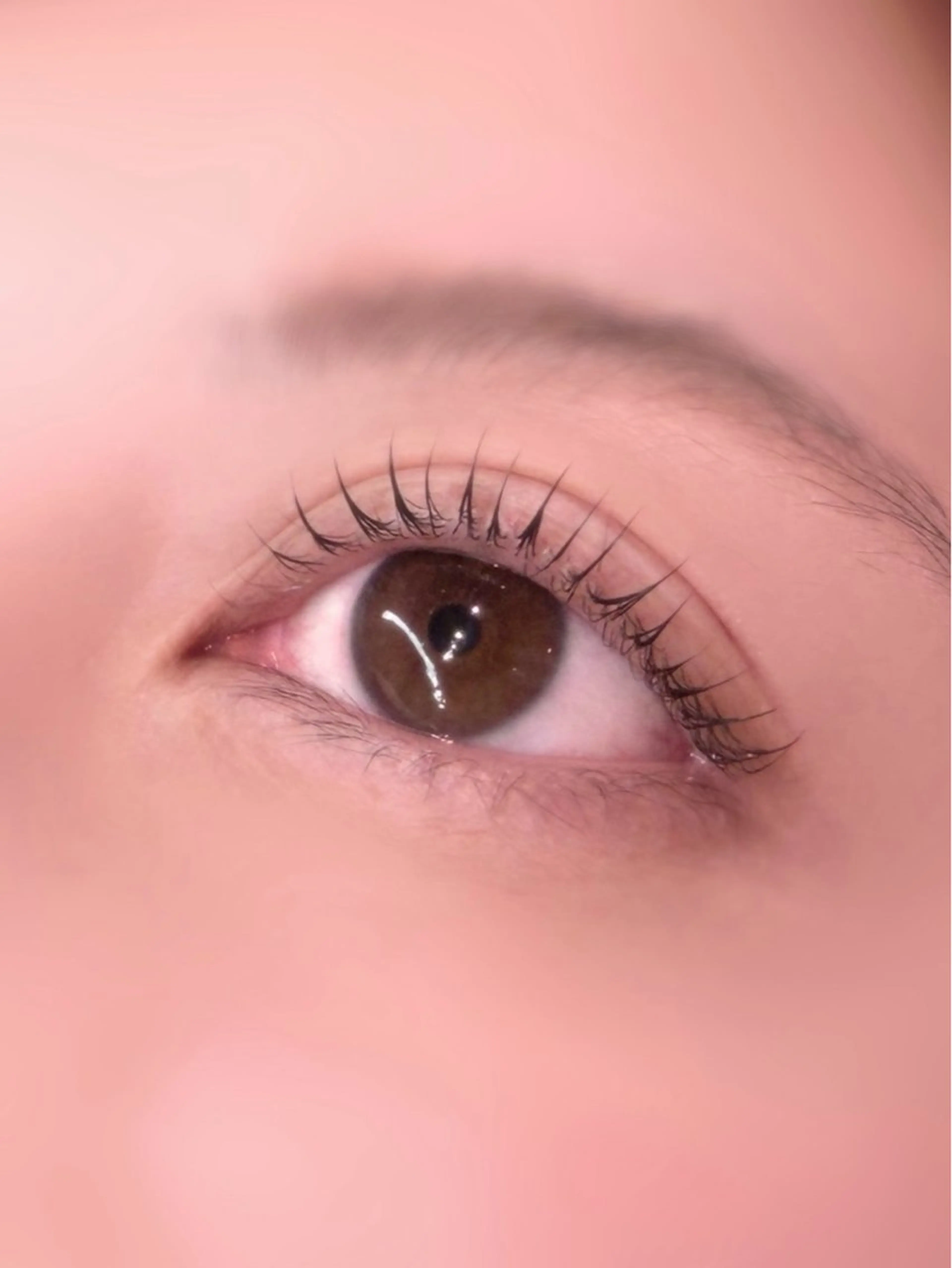 マツエク・マツパ パリジェンヌラッシュリフト elto四条烏丸🎀 ミコトのマツエク・マツパデザイン