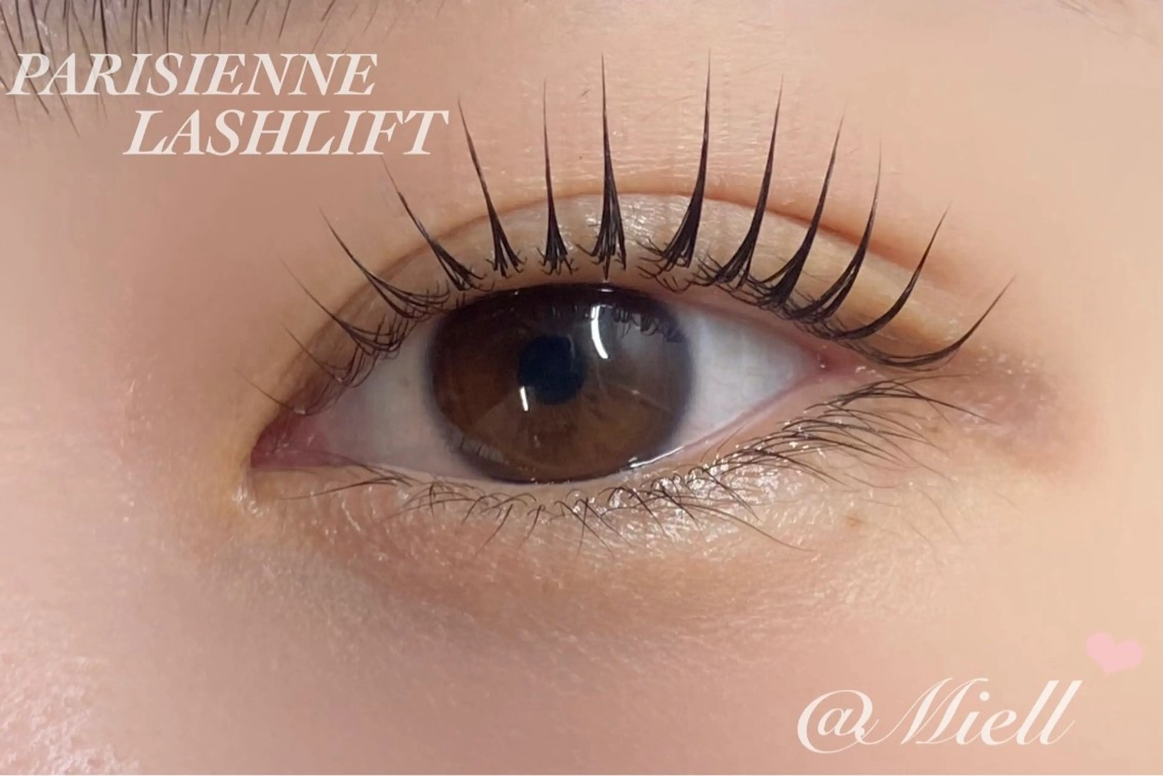 ご新規様クーポン🤍minimo限定価格🤍パリジェンヌラッシュリフト🩰(トリートメントコーティング付き)オフなしの方の写真